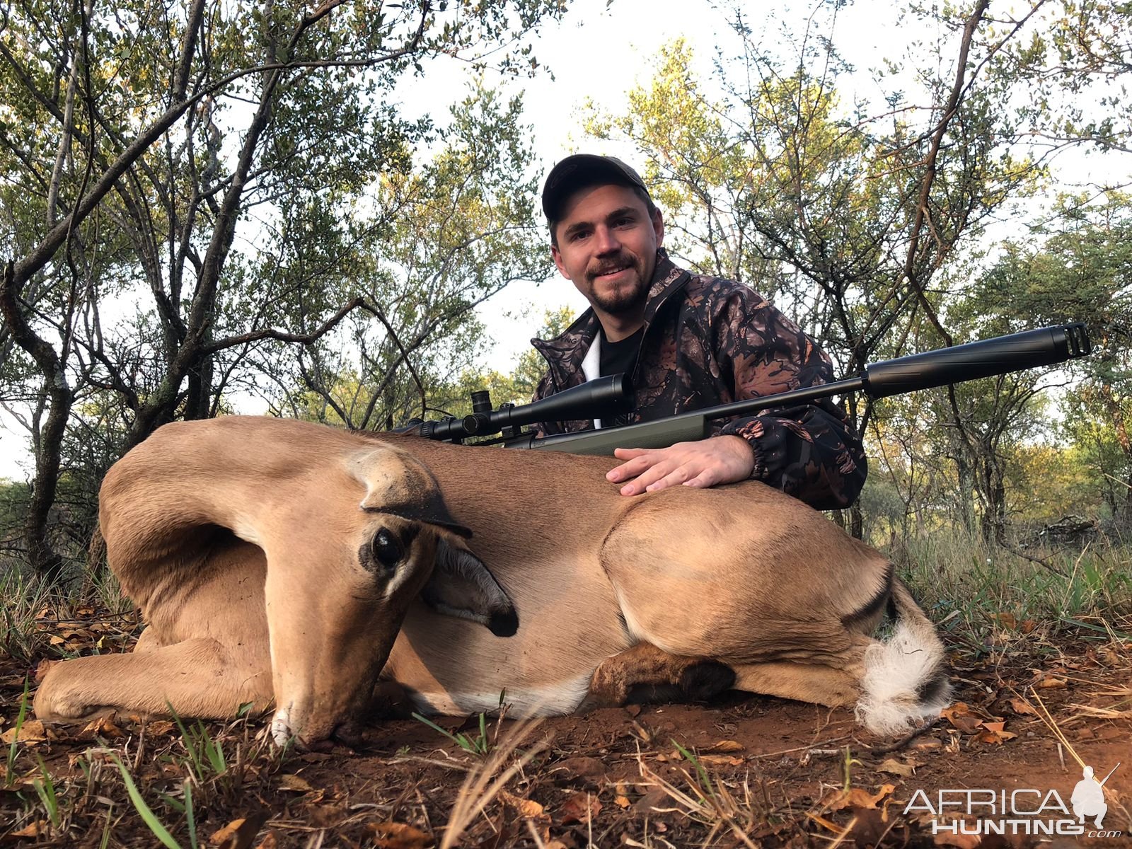 Impala female