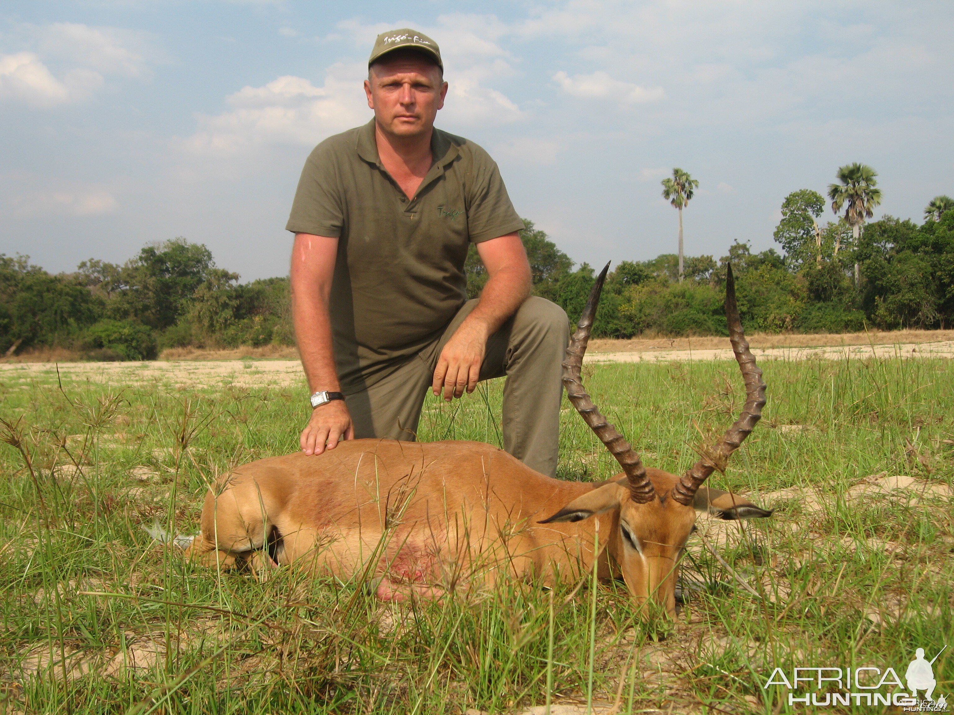 Impala for Leopard bait