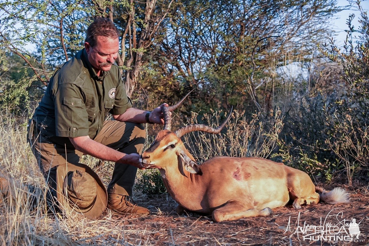 Impala Hunt Angola