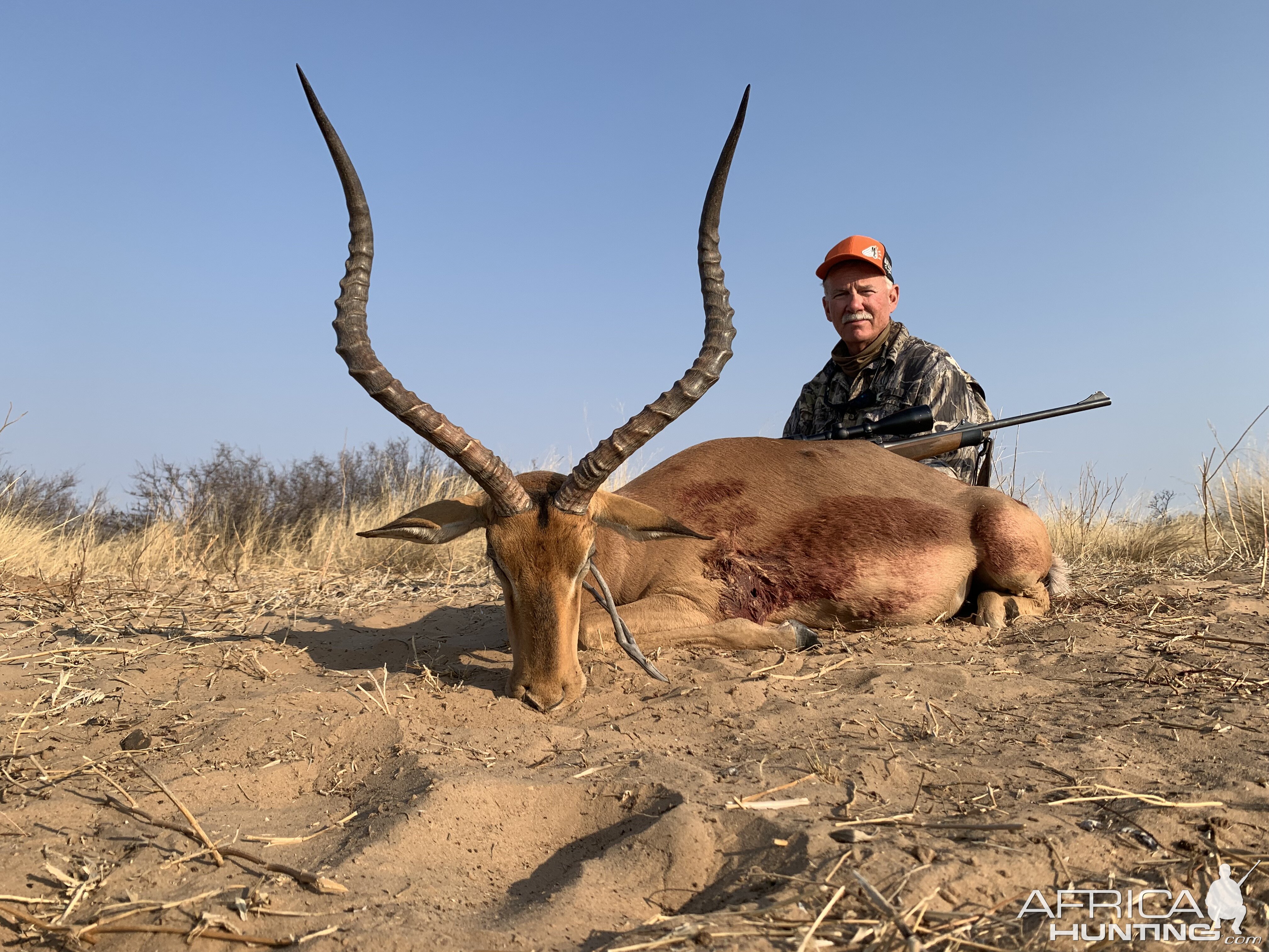 Impala Hunt Botswana