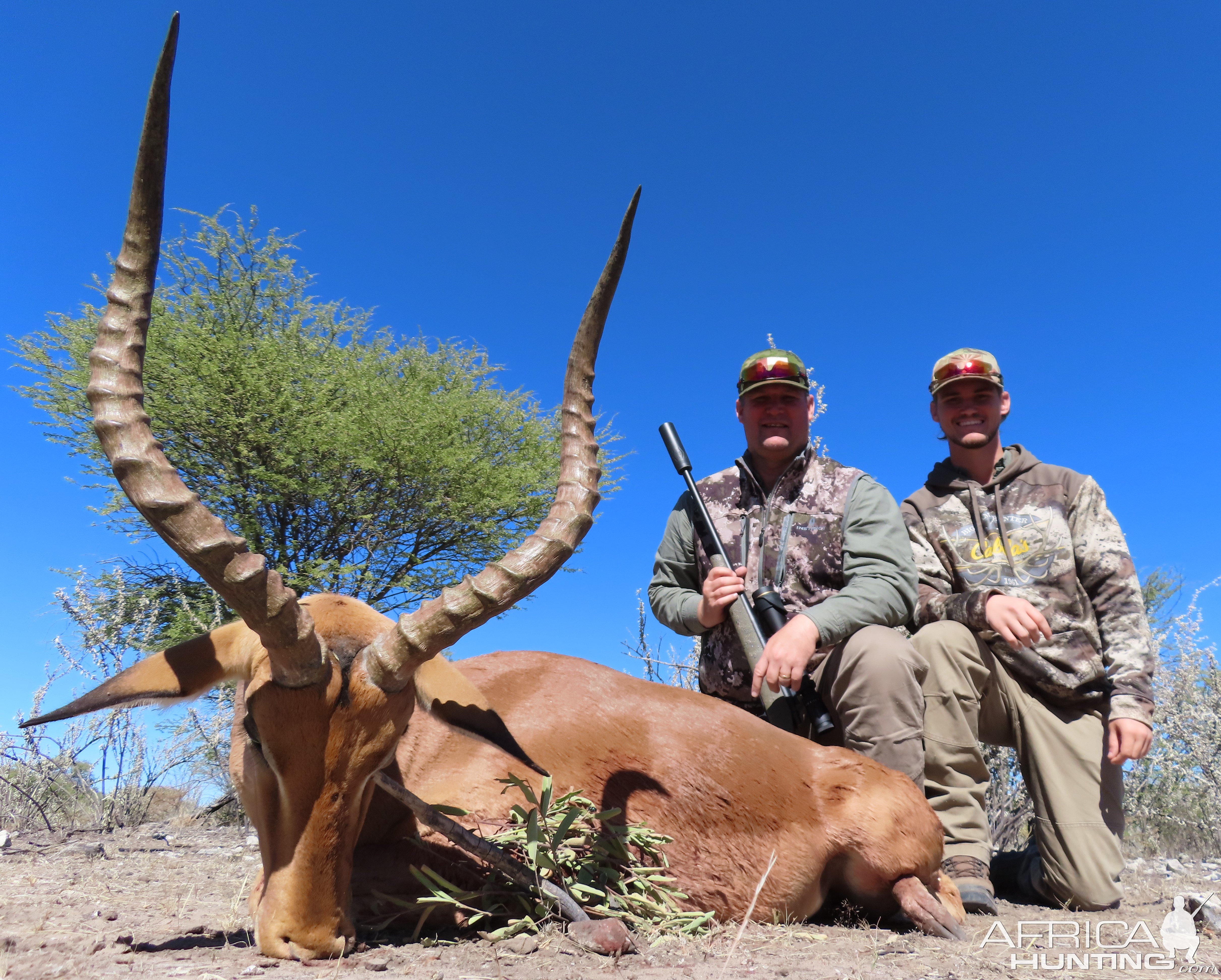 Impala Hunt Botswana