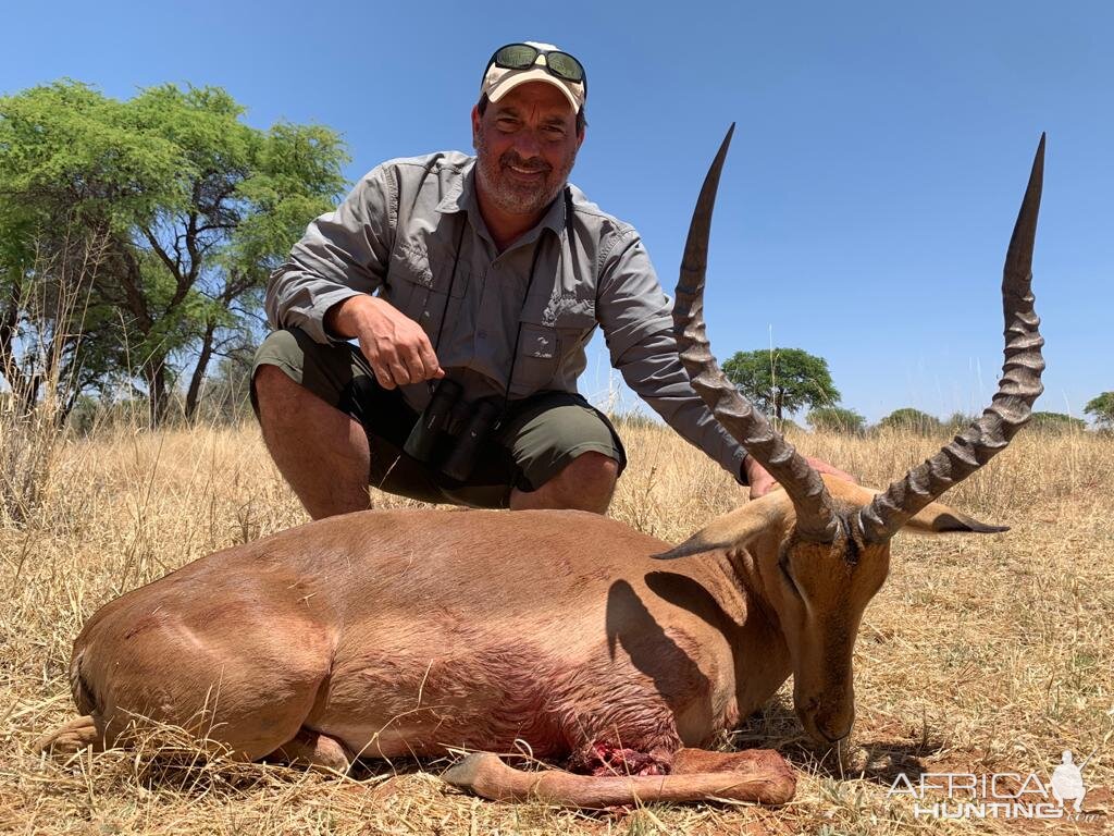 Impala Hunt Caprivi Namibia