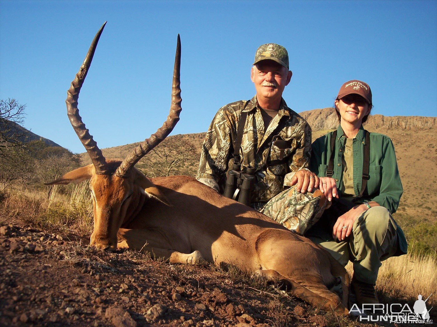 Impala Hunt East Cape South Africa