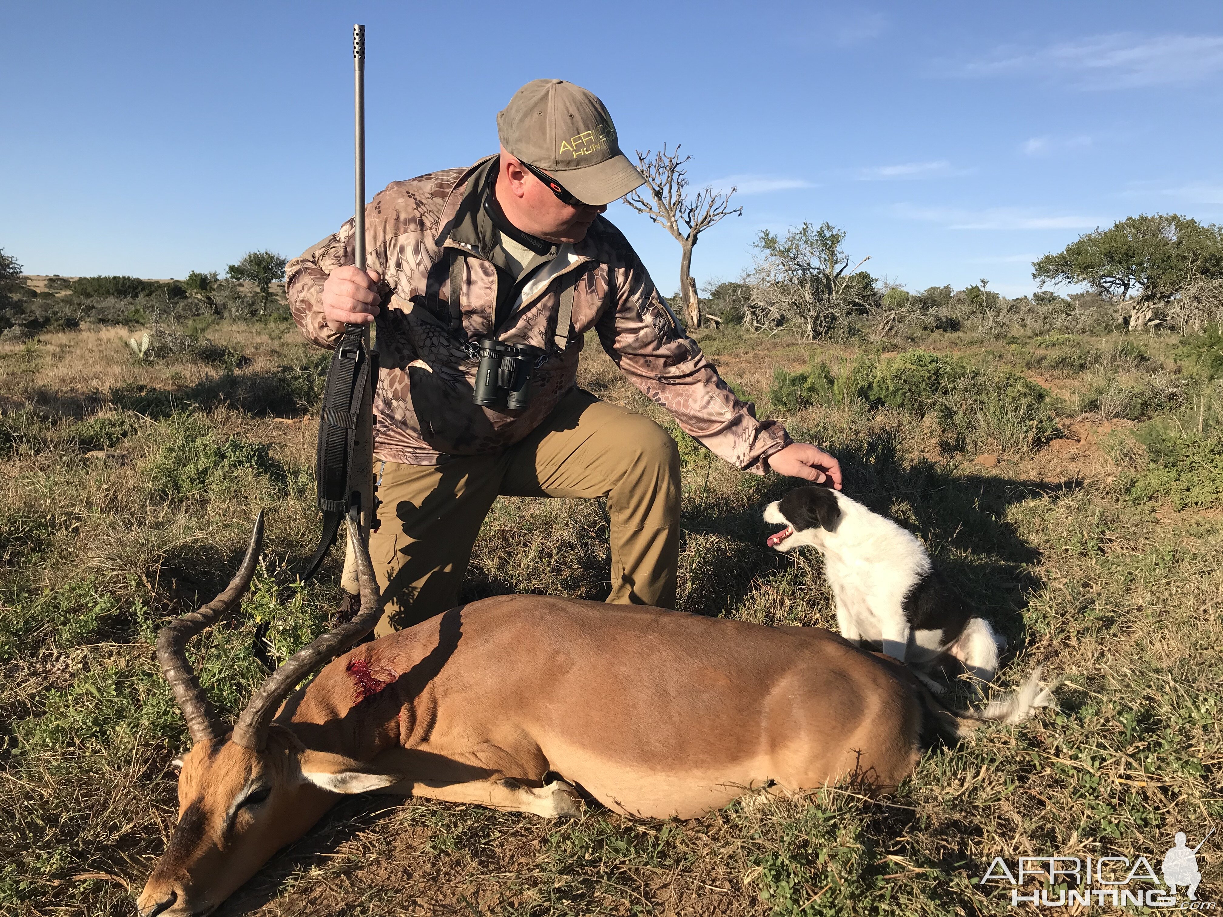 Impala Hunt Eastern Cape South Africa