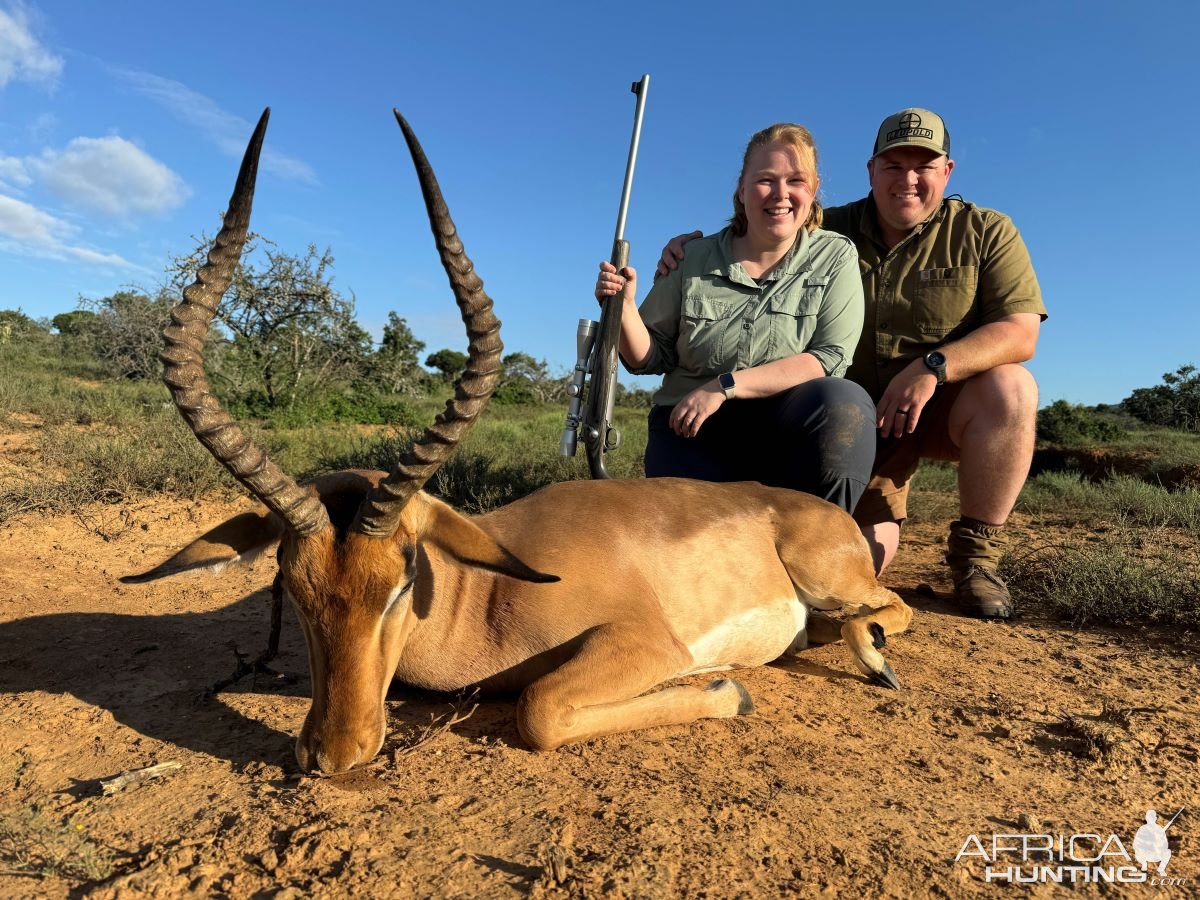 Impala Hunt Eastern Cape South Africa