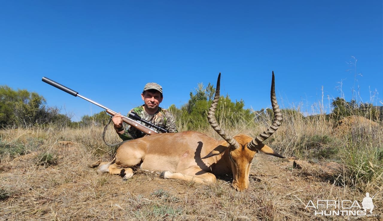 Impala Hunt Eastern Cape South Africa