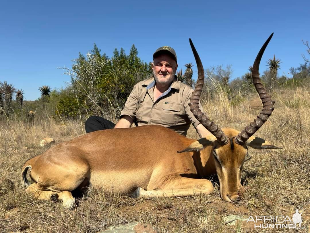 Impala Hunt Eastern Cape South Africa