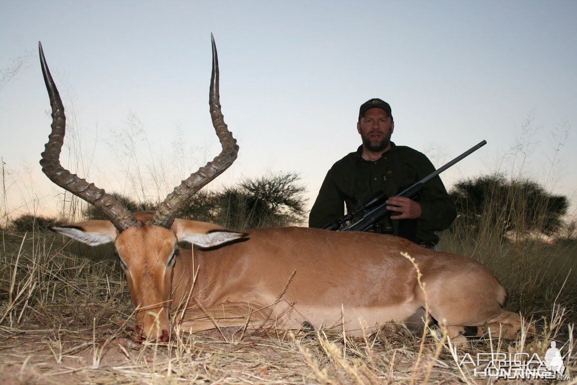 Impala hunt in Namibia