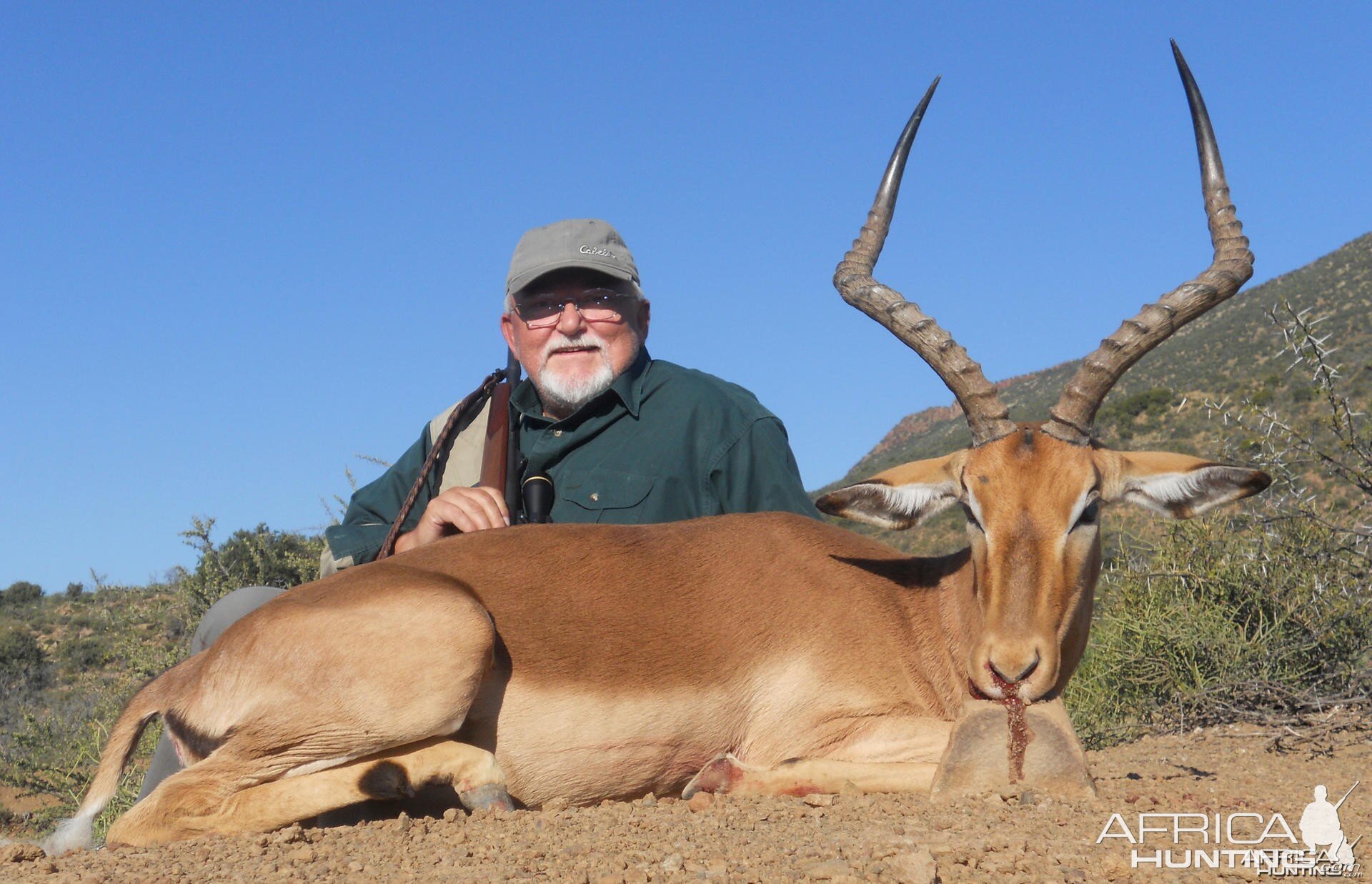 Impala hunt in South Africa