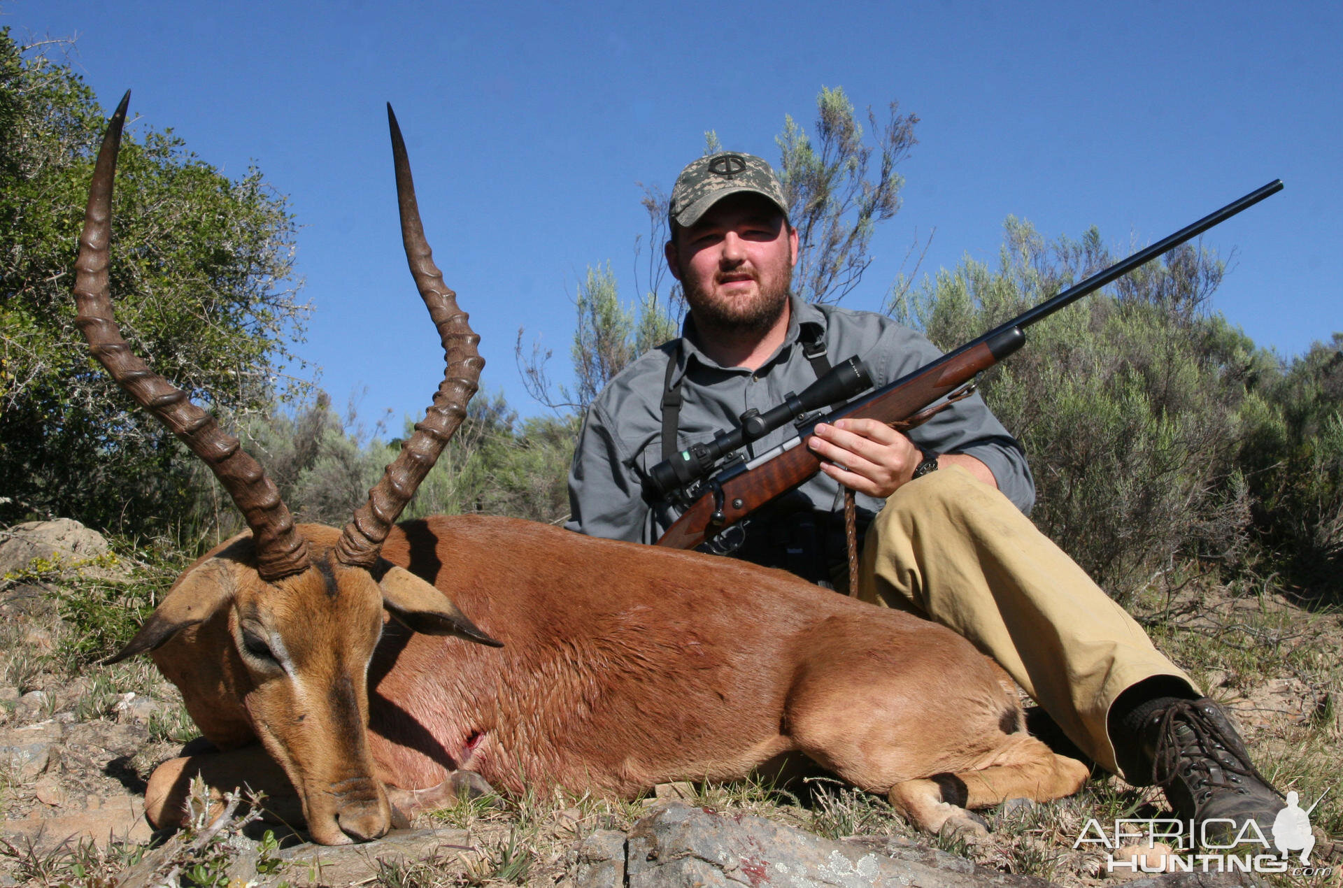 Impala hunt in South Africa