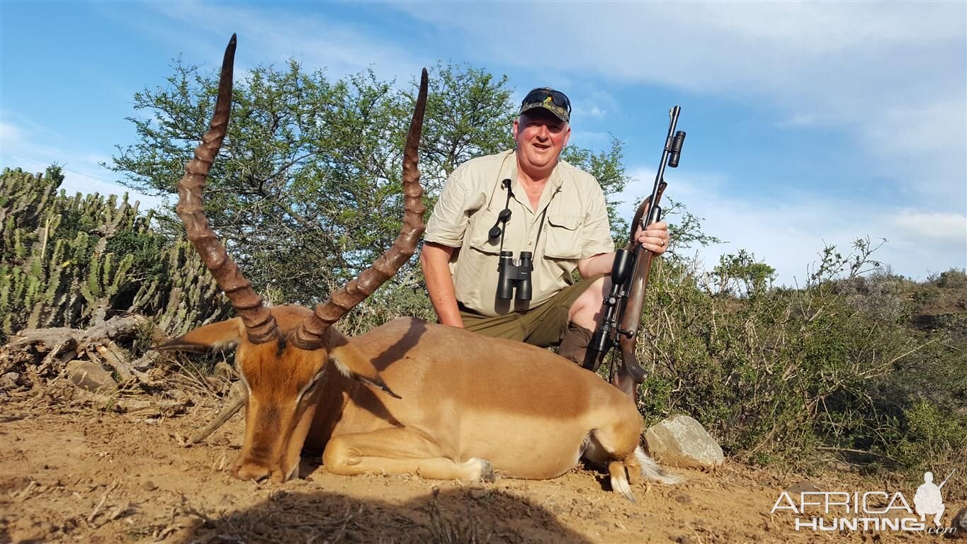 Impala Hunt in South Africa