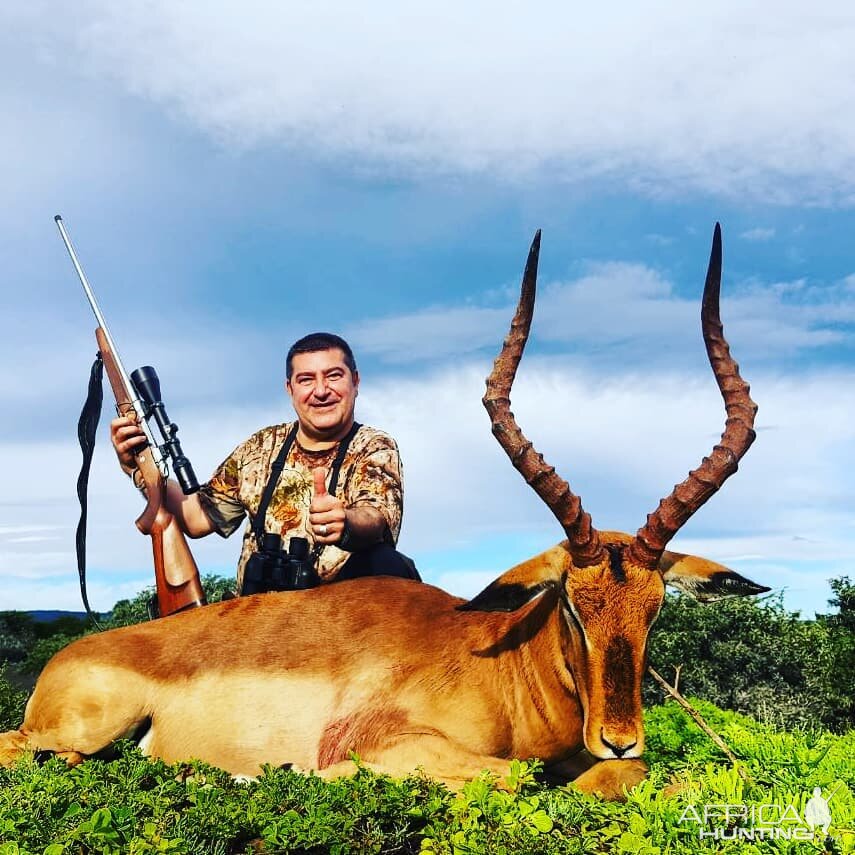 Impala Hunt in South Africa