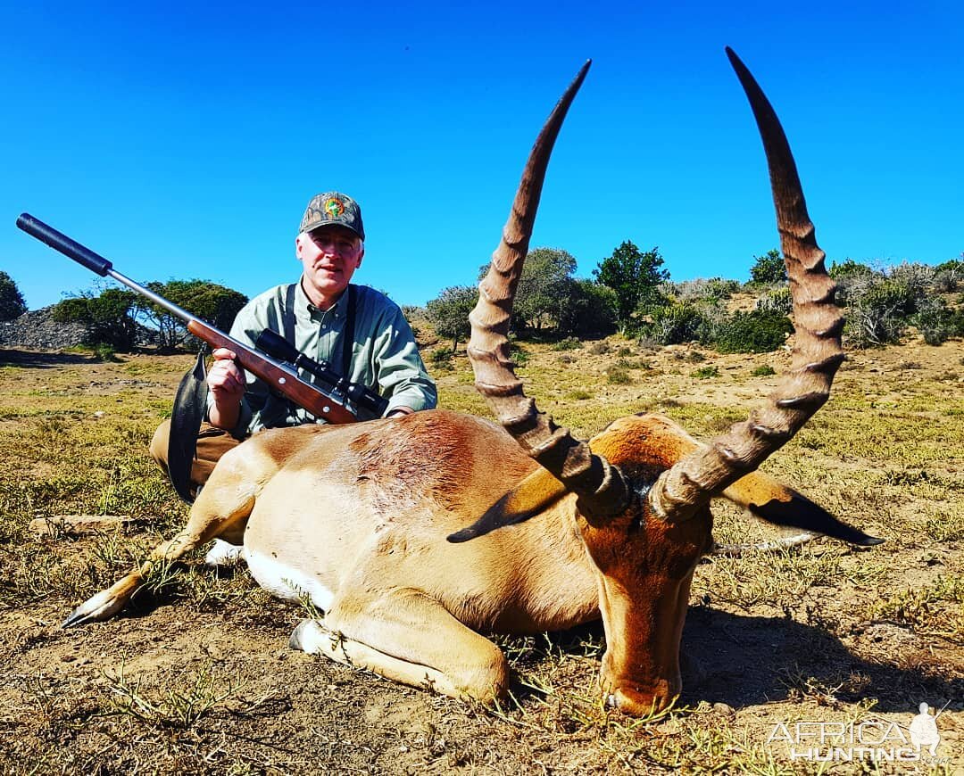 Impala Hunt in South Africa