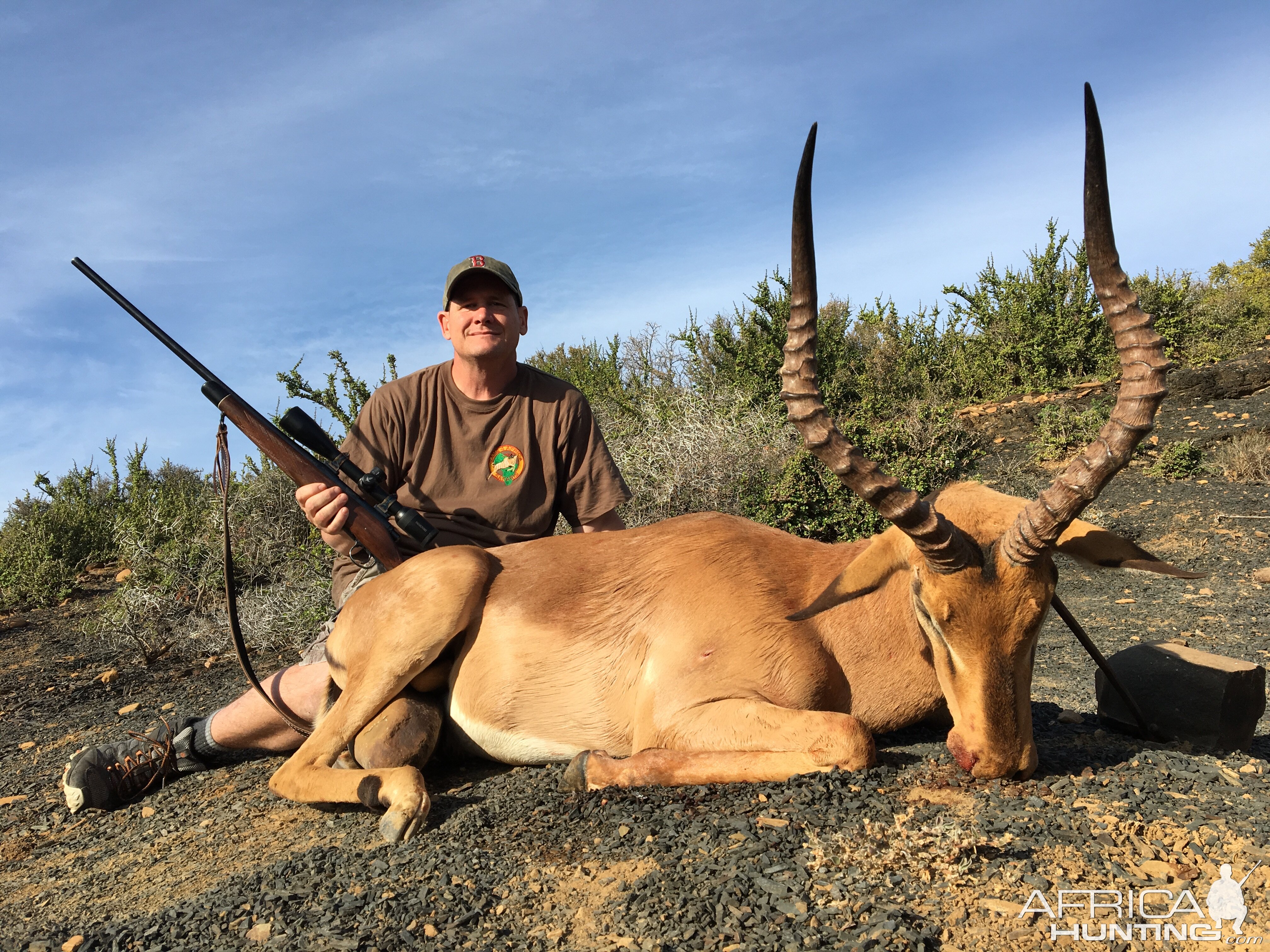 Impala Hunt in South Africa