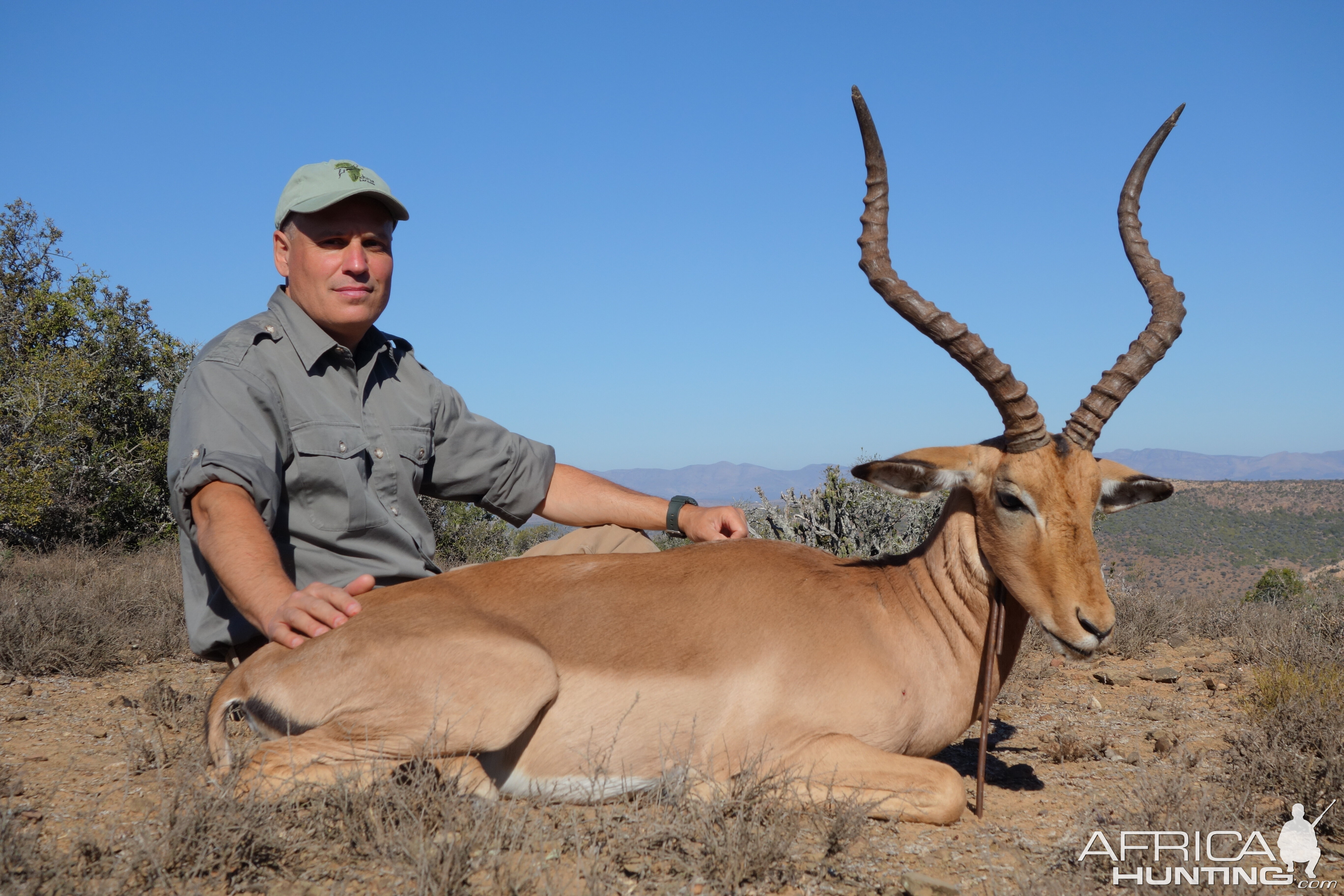 Impala Hunt in South Africa