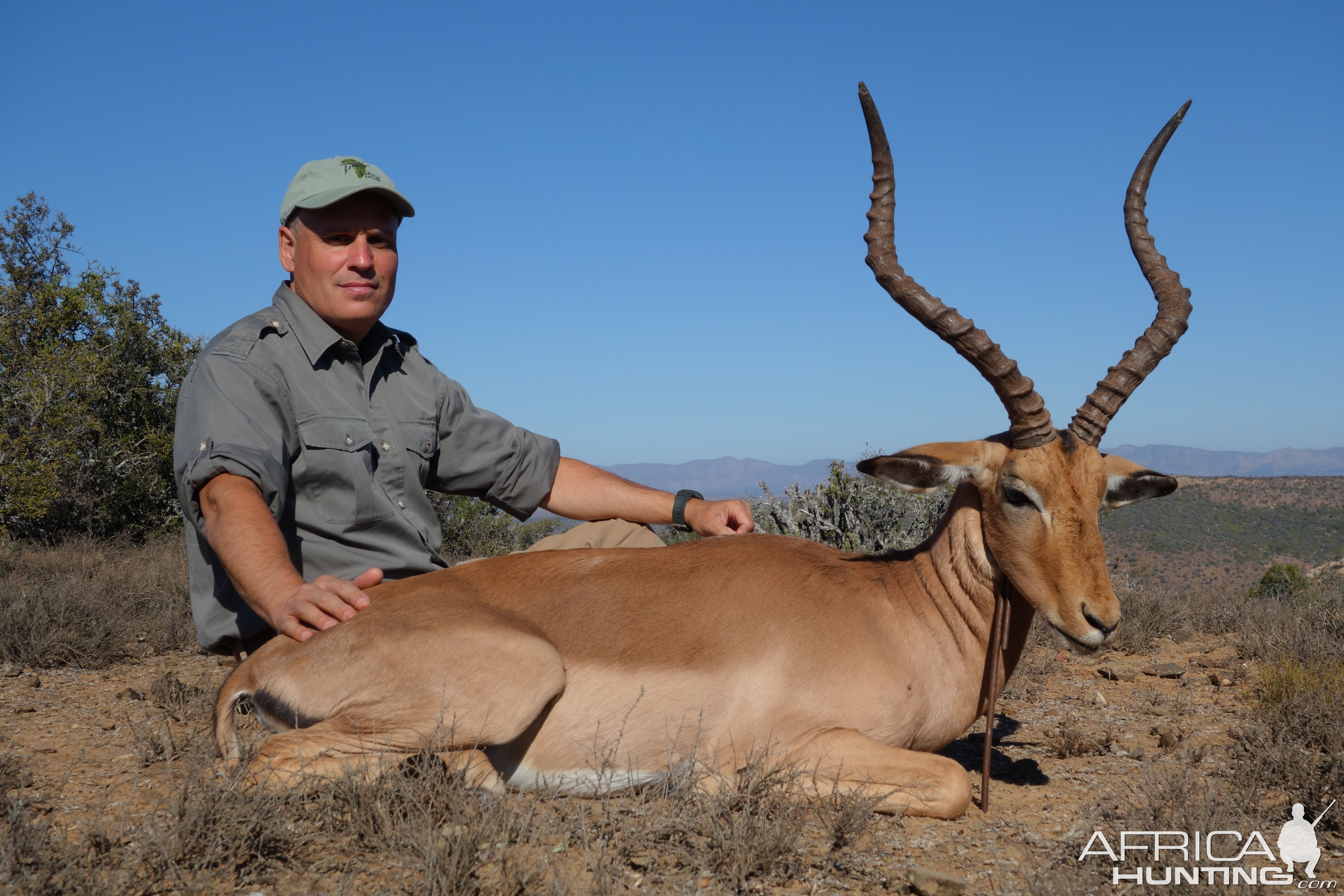 Impala Hunt in South Africa