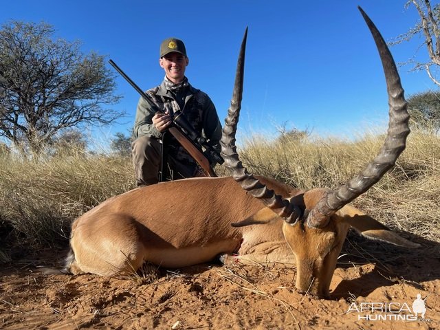 Impala Hunt Kalahari South Africa