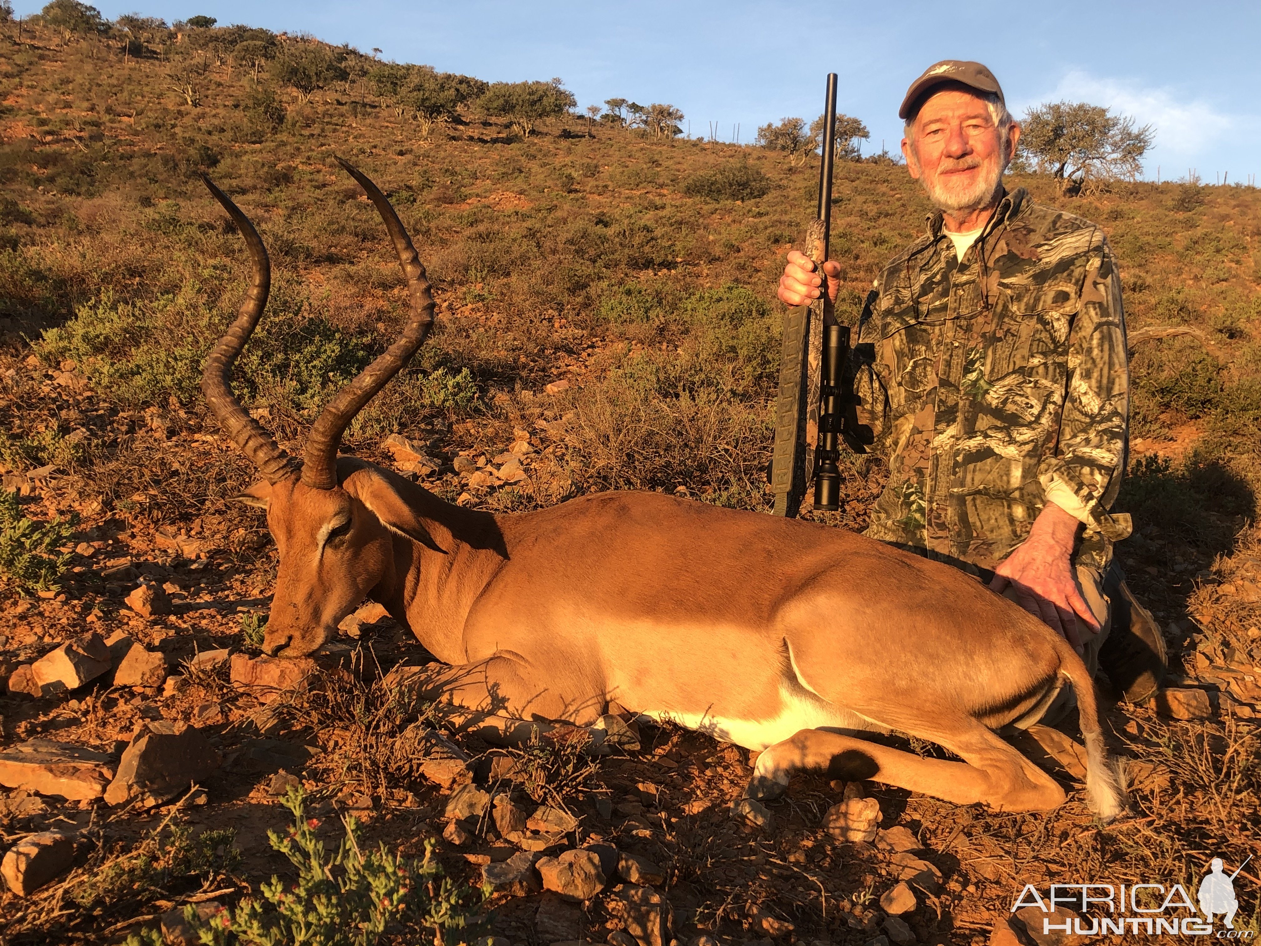 Impala Hunt Karoo South Africa