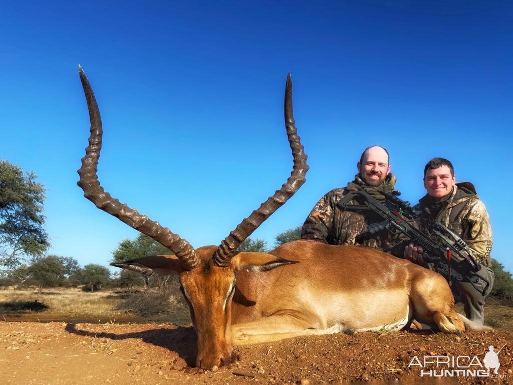 Impala Hunt Limpopo South Africa