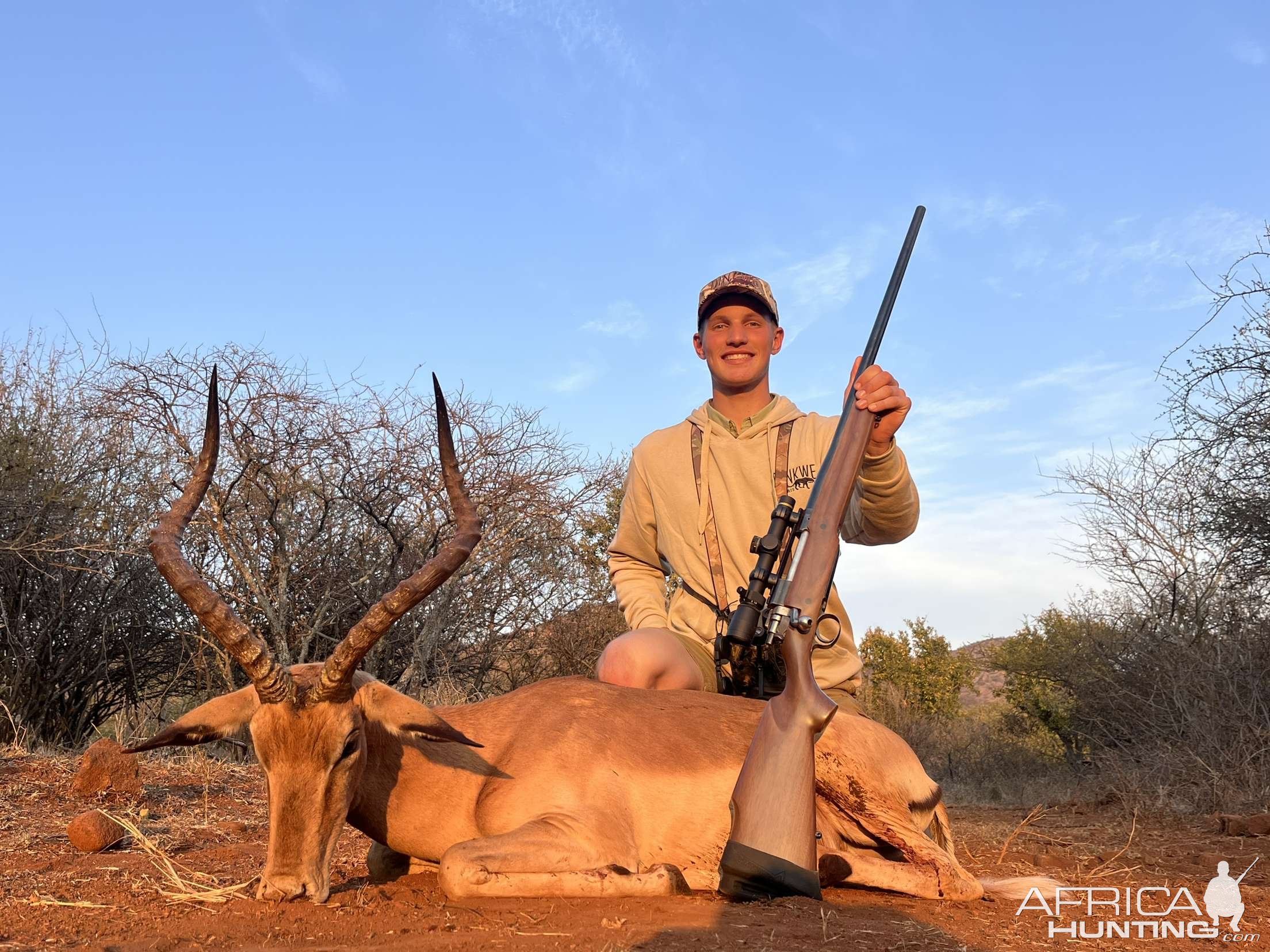 Impala Hunt Limpopo South Africa