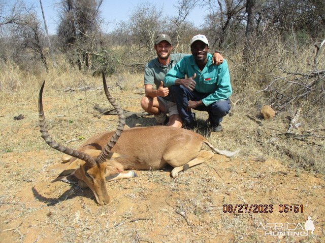 Impala Hunt Limpopo South Africa