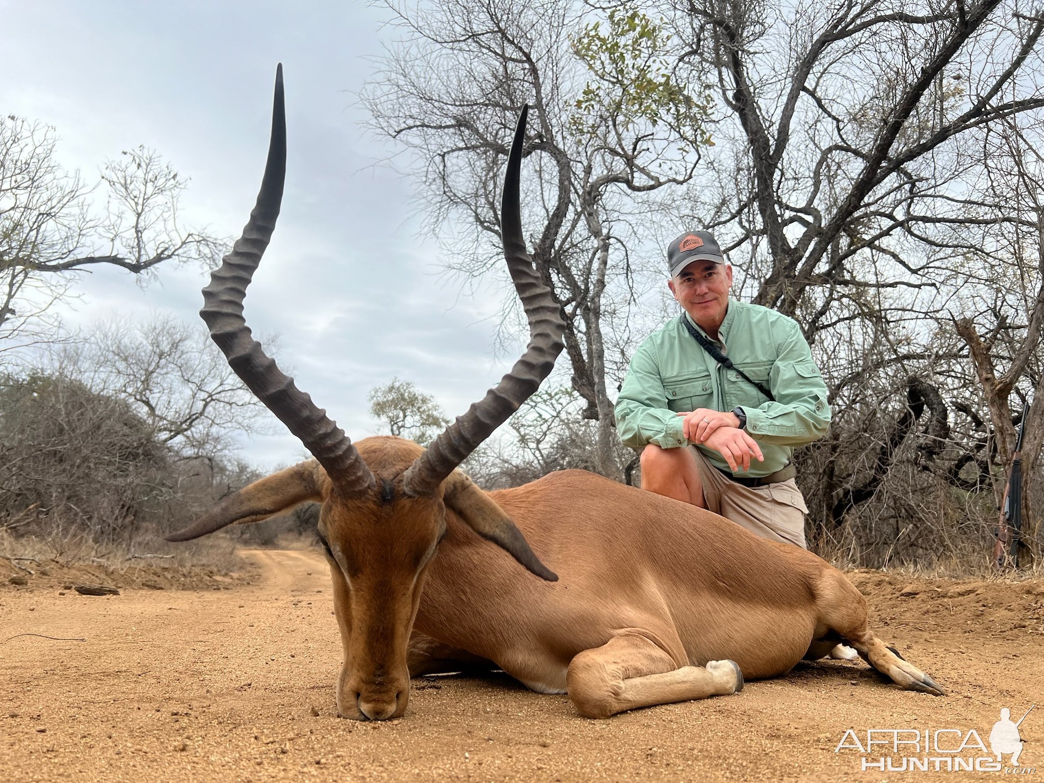 Impala Hunt Limpopo South Africa