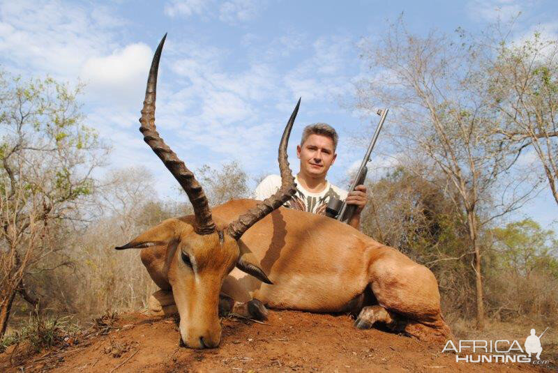 Impala Hunt Mozambique