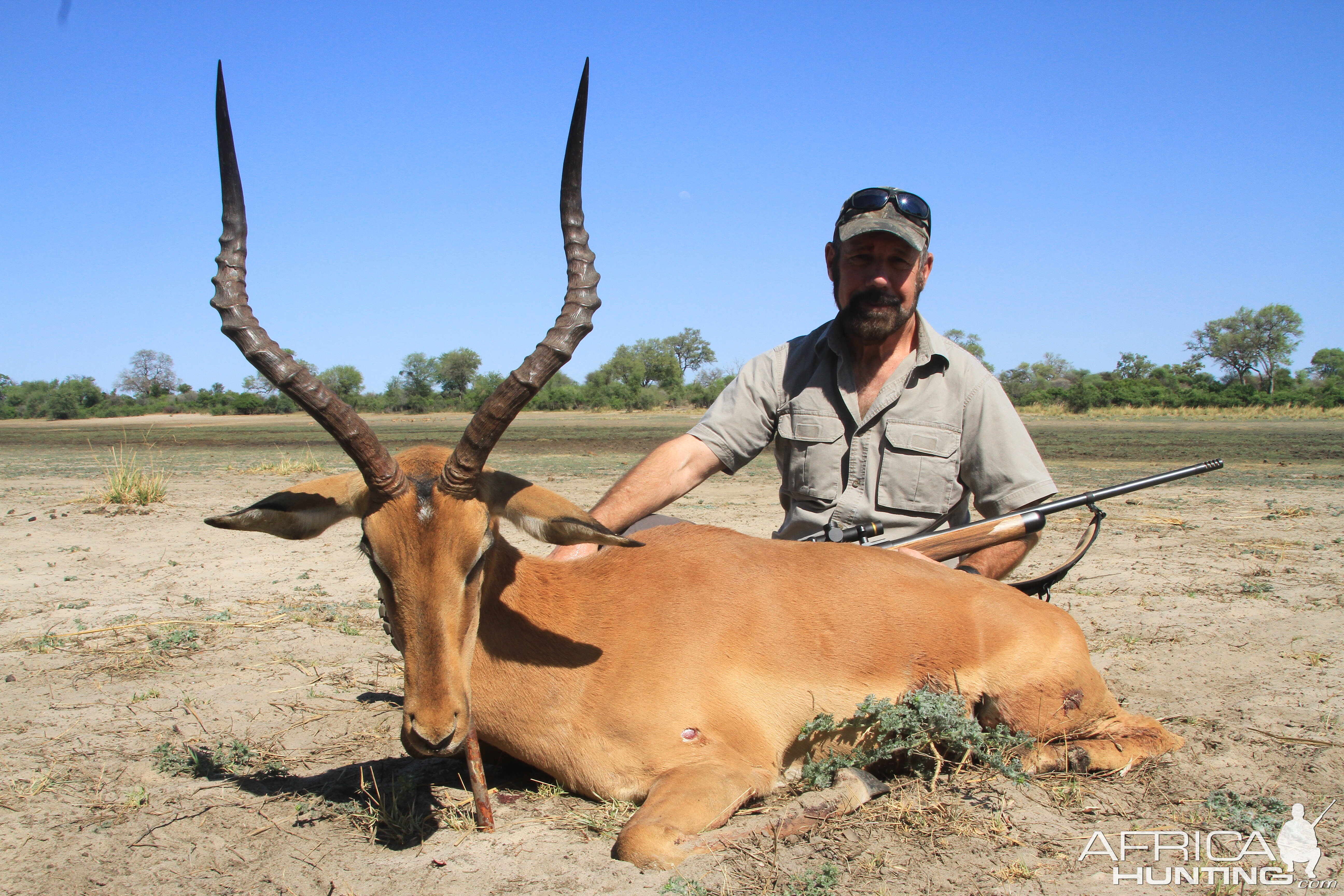 Impala Hunt Namibia