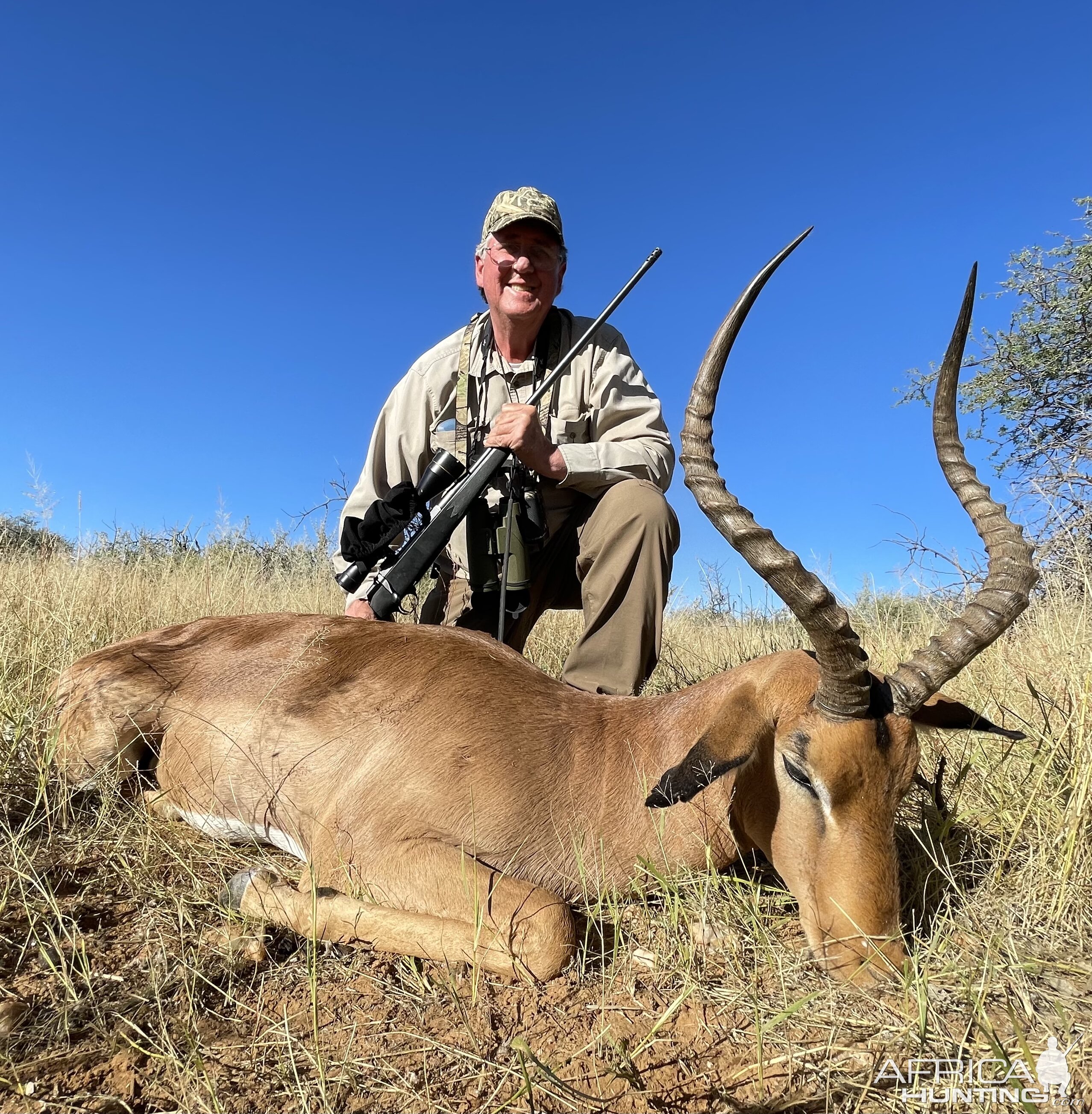 Impala Hunt Namibia