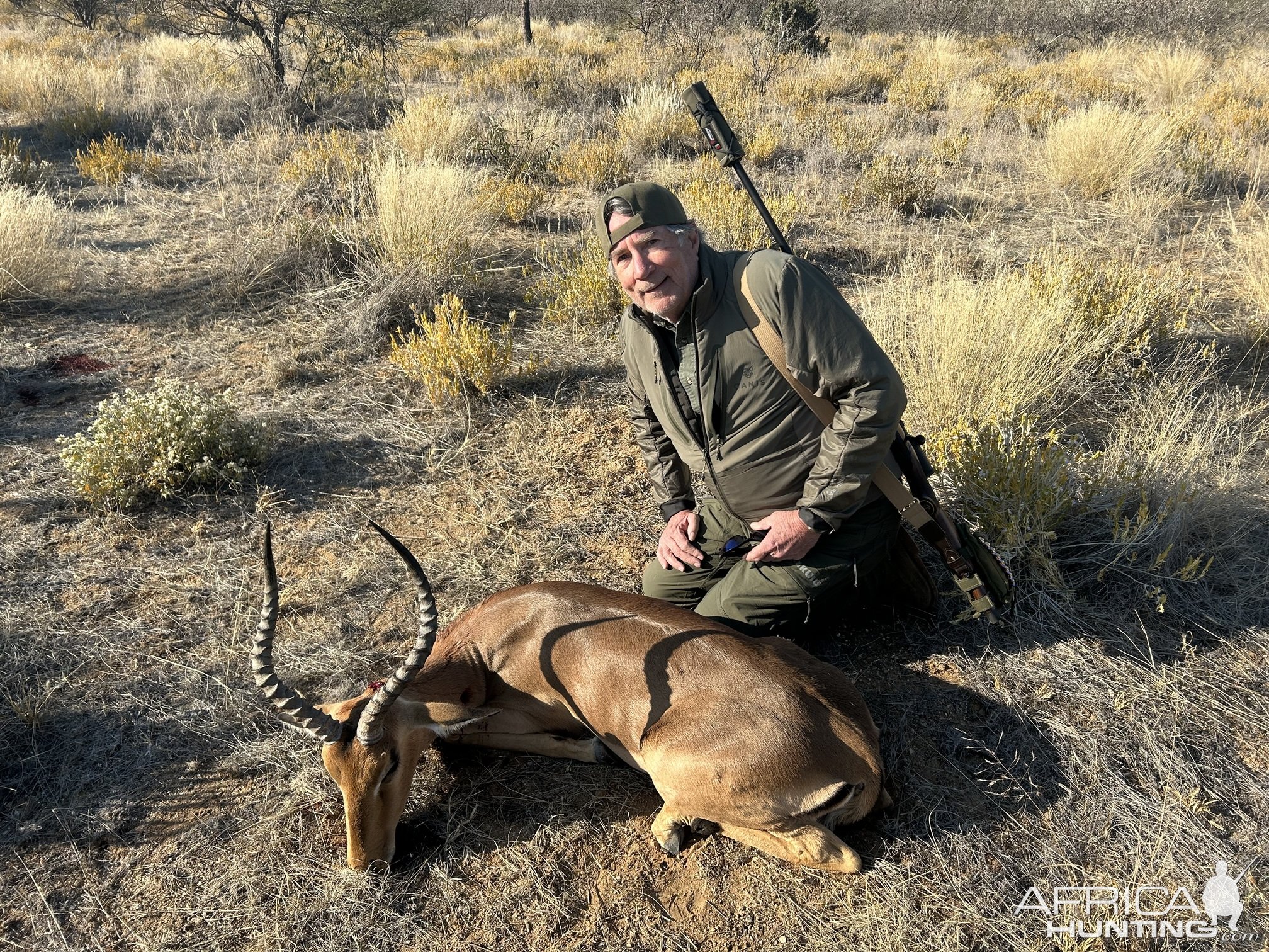 Impala Hunt Namibia