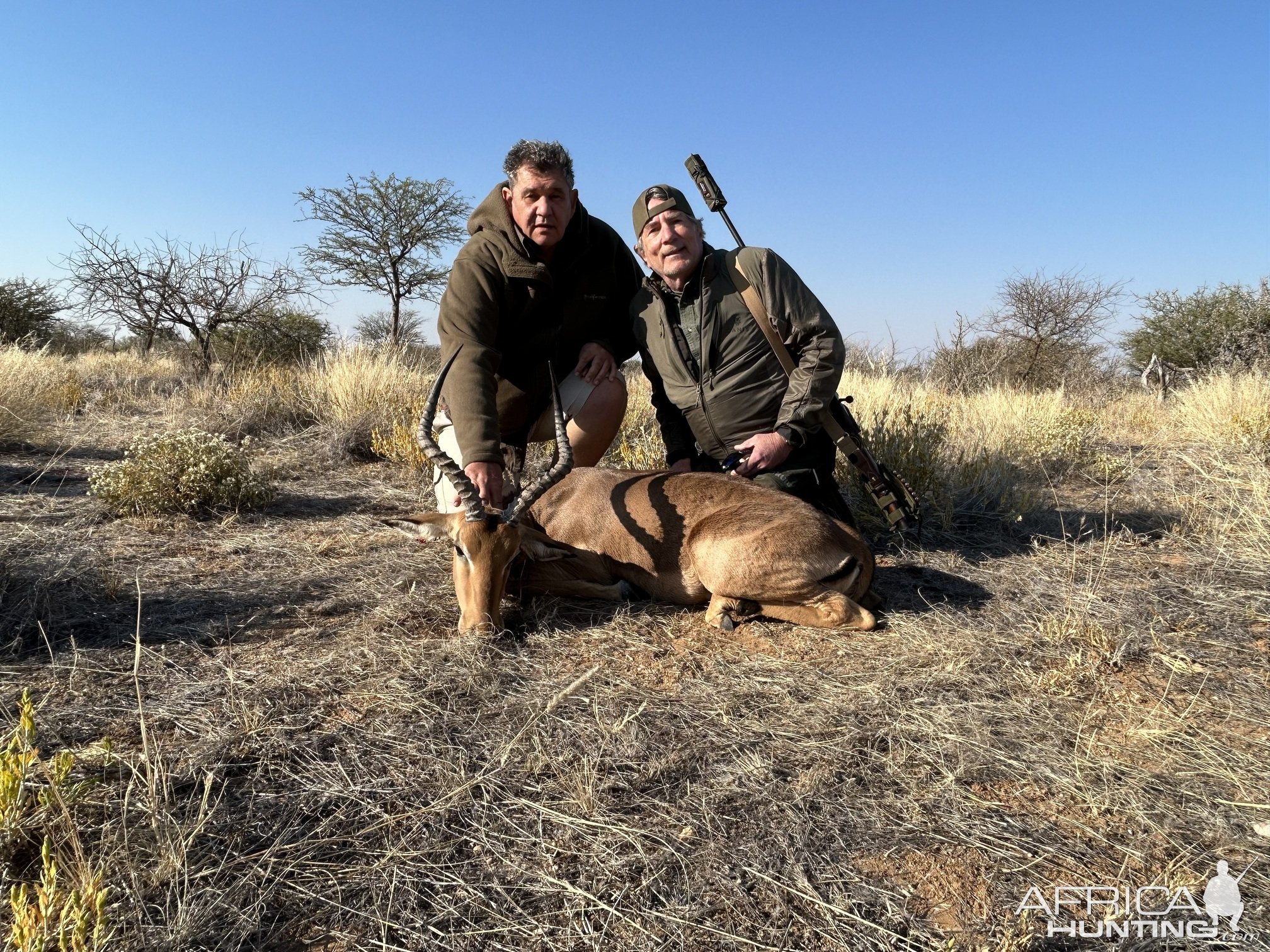 Impala Hunt Namibia