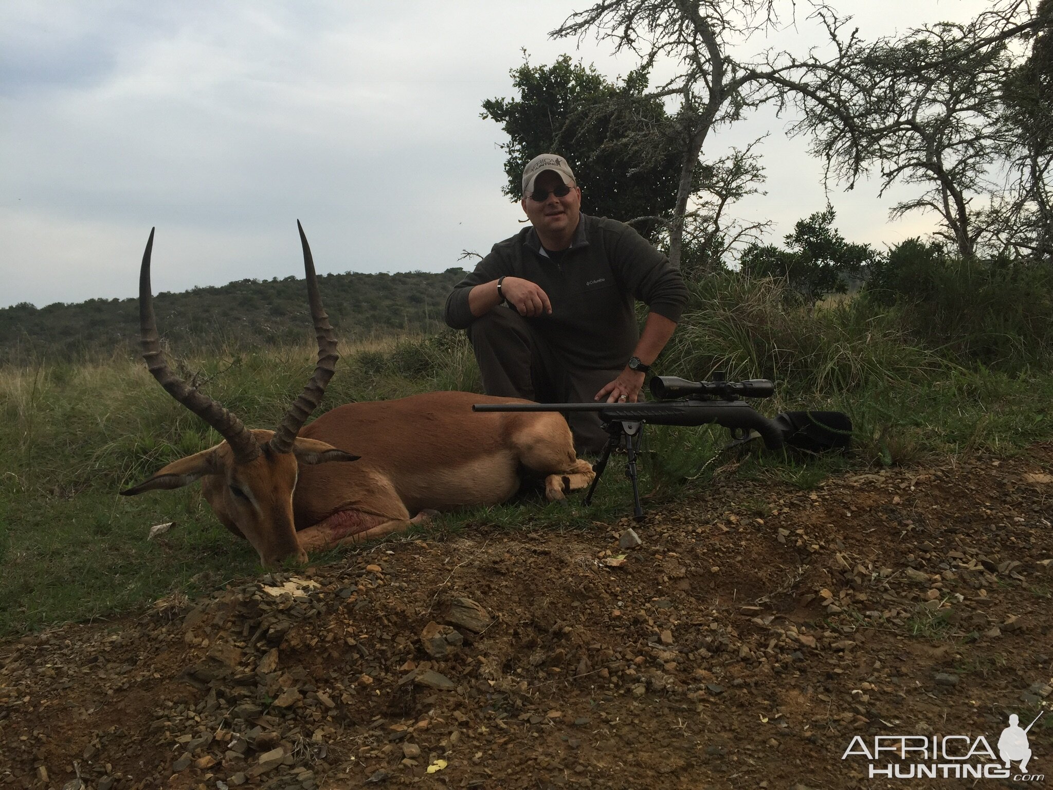 Impala Hunt South Africa