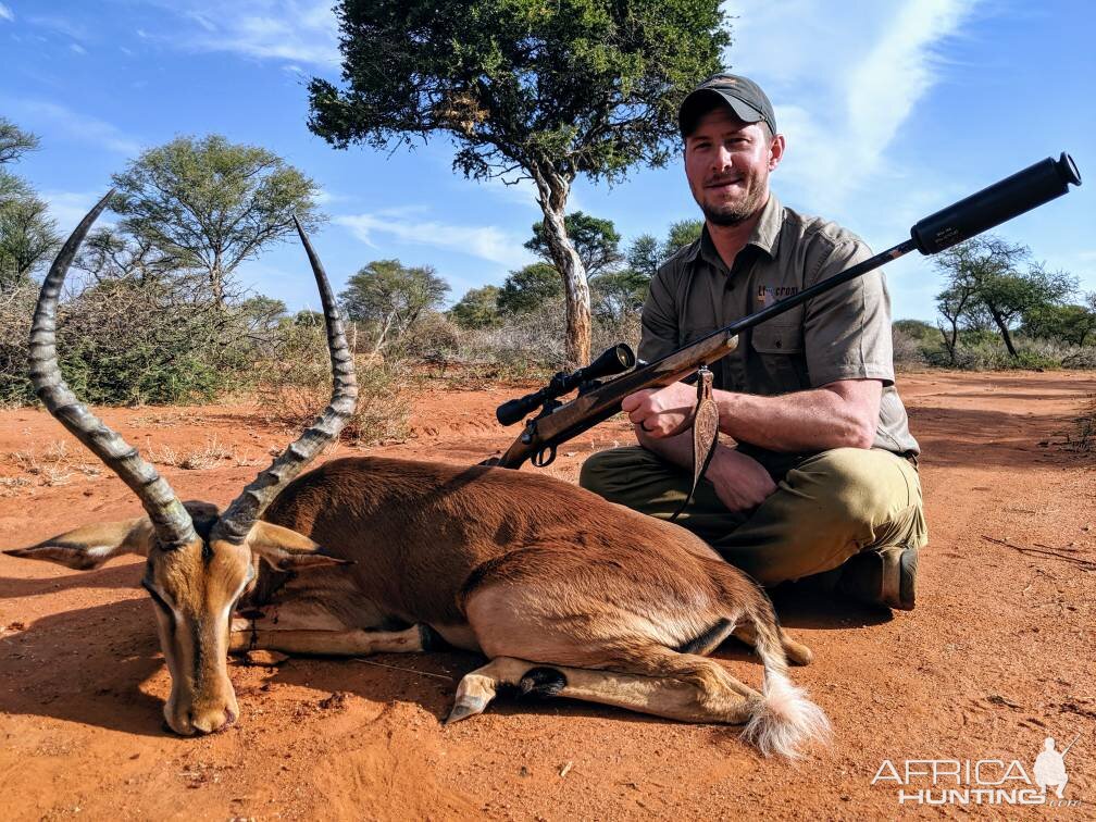 Impala Hunt South Africa