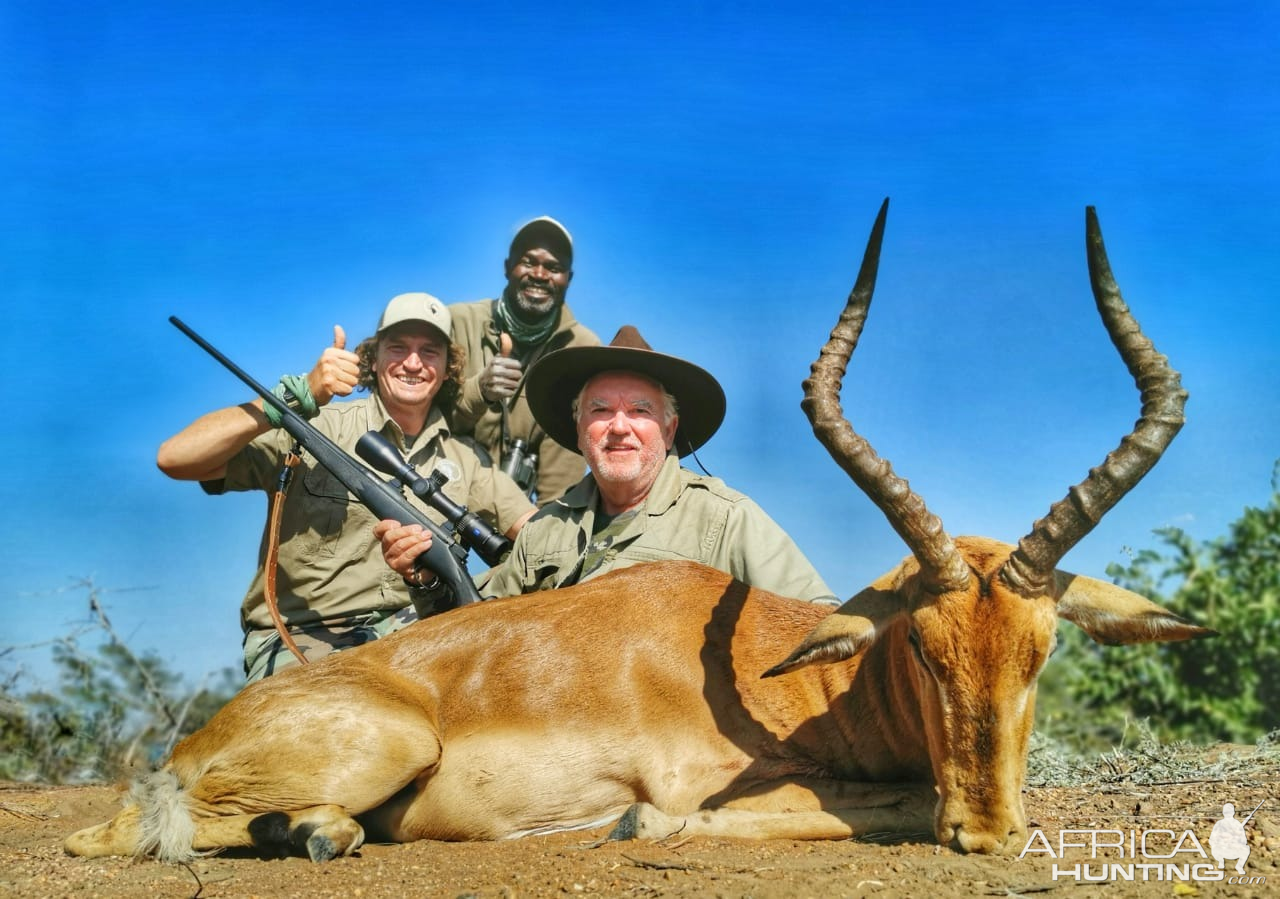 Impala Hunt South Africa