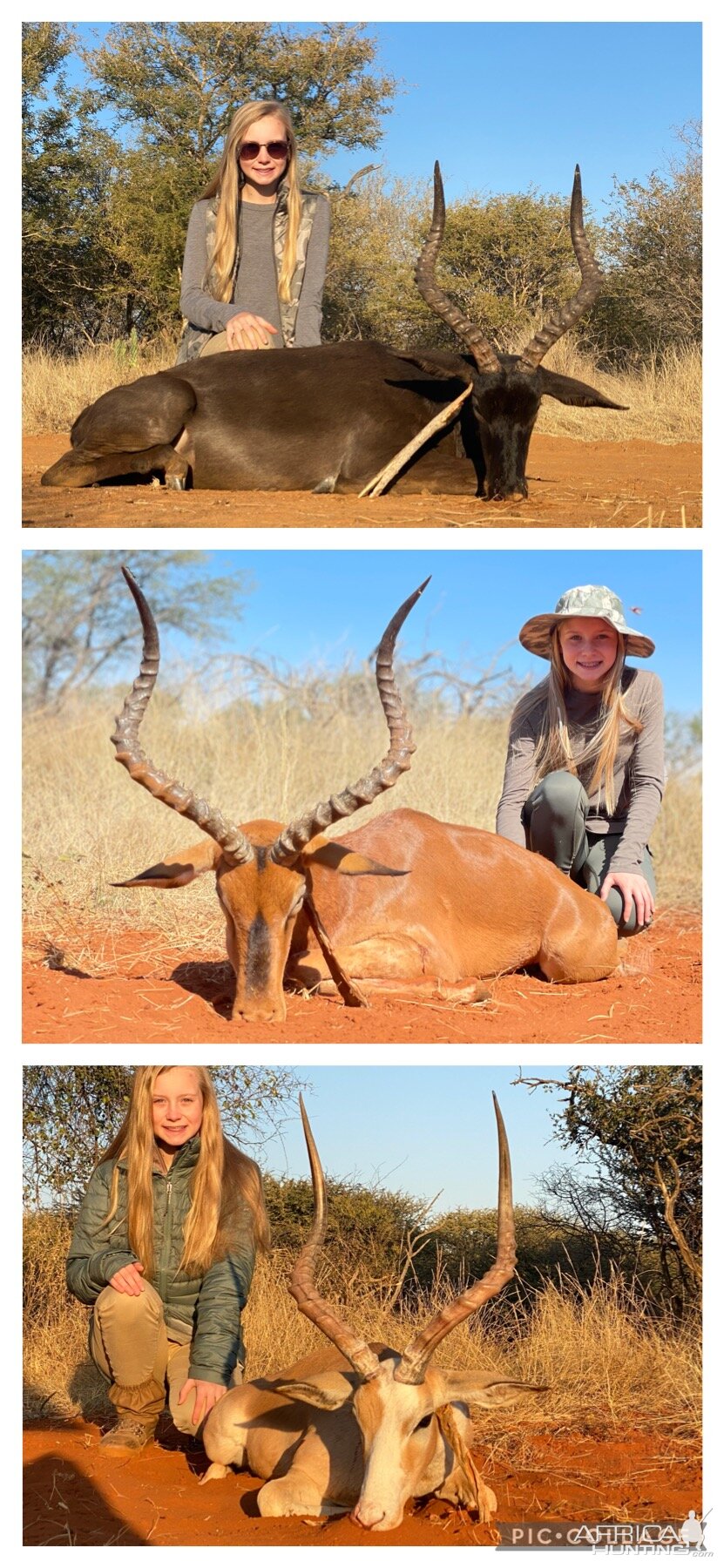 Impala Hunt South Africa