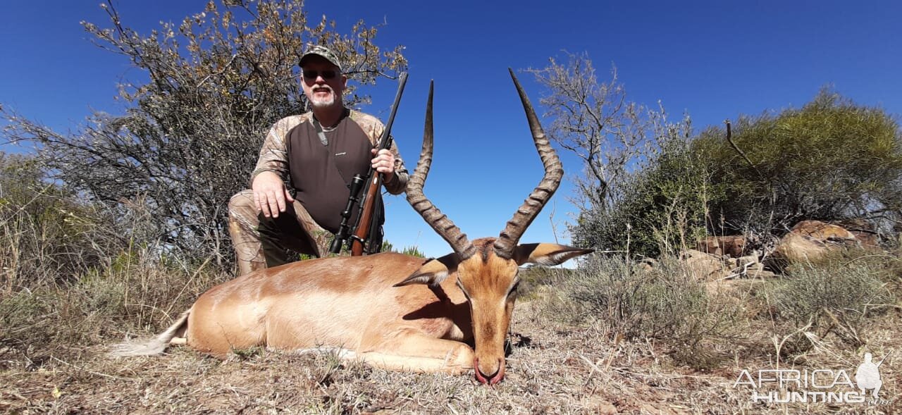 Impala Hunt South Africa