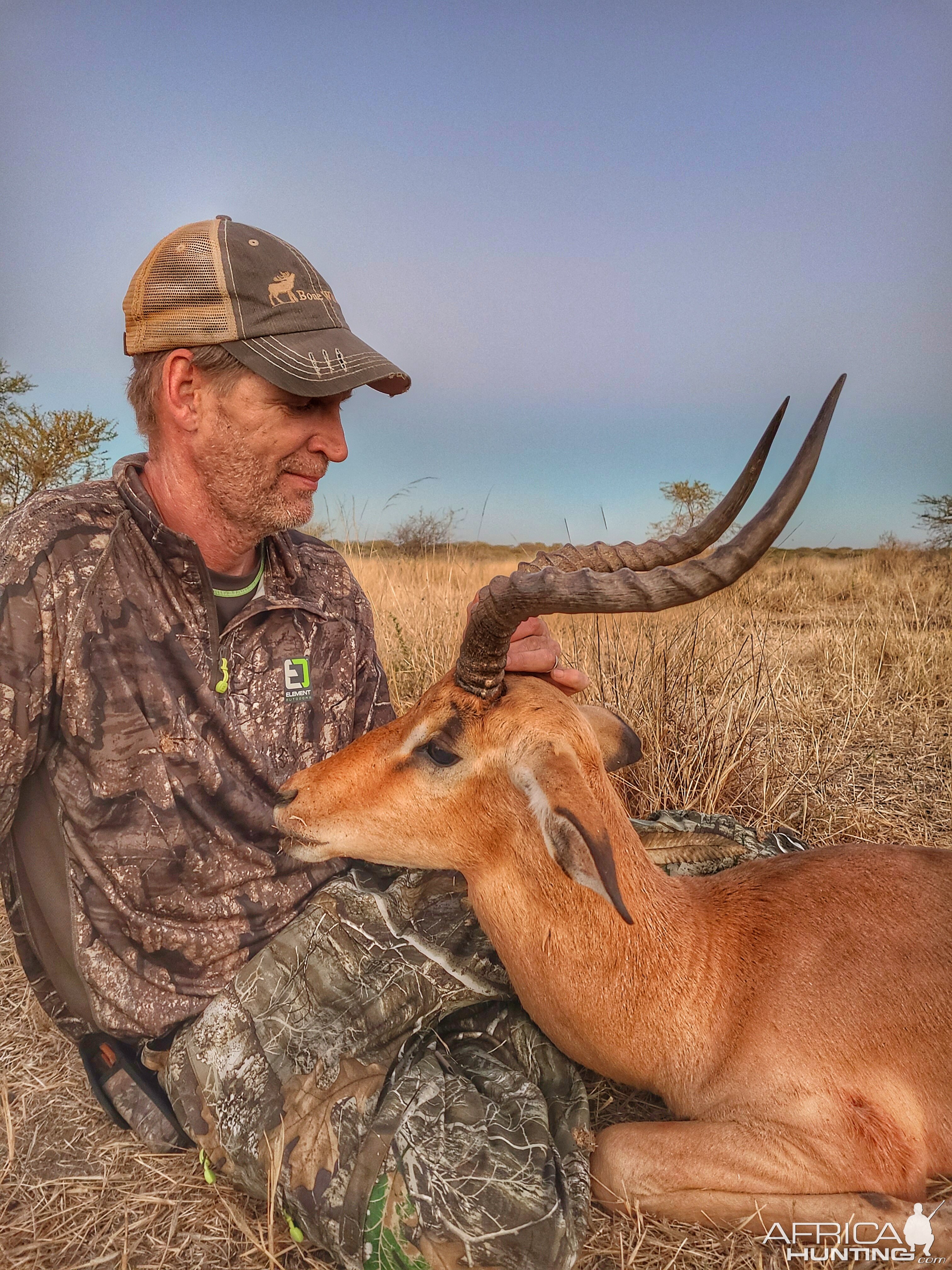 Impala Hunt South Africa