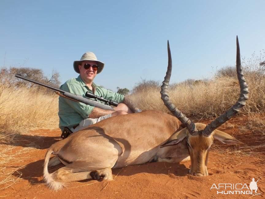 Impala Hunt South Africa