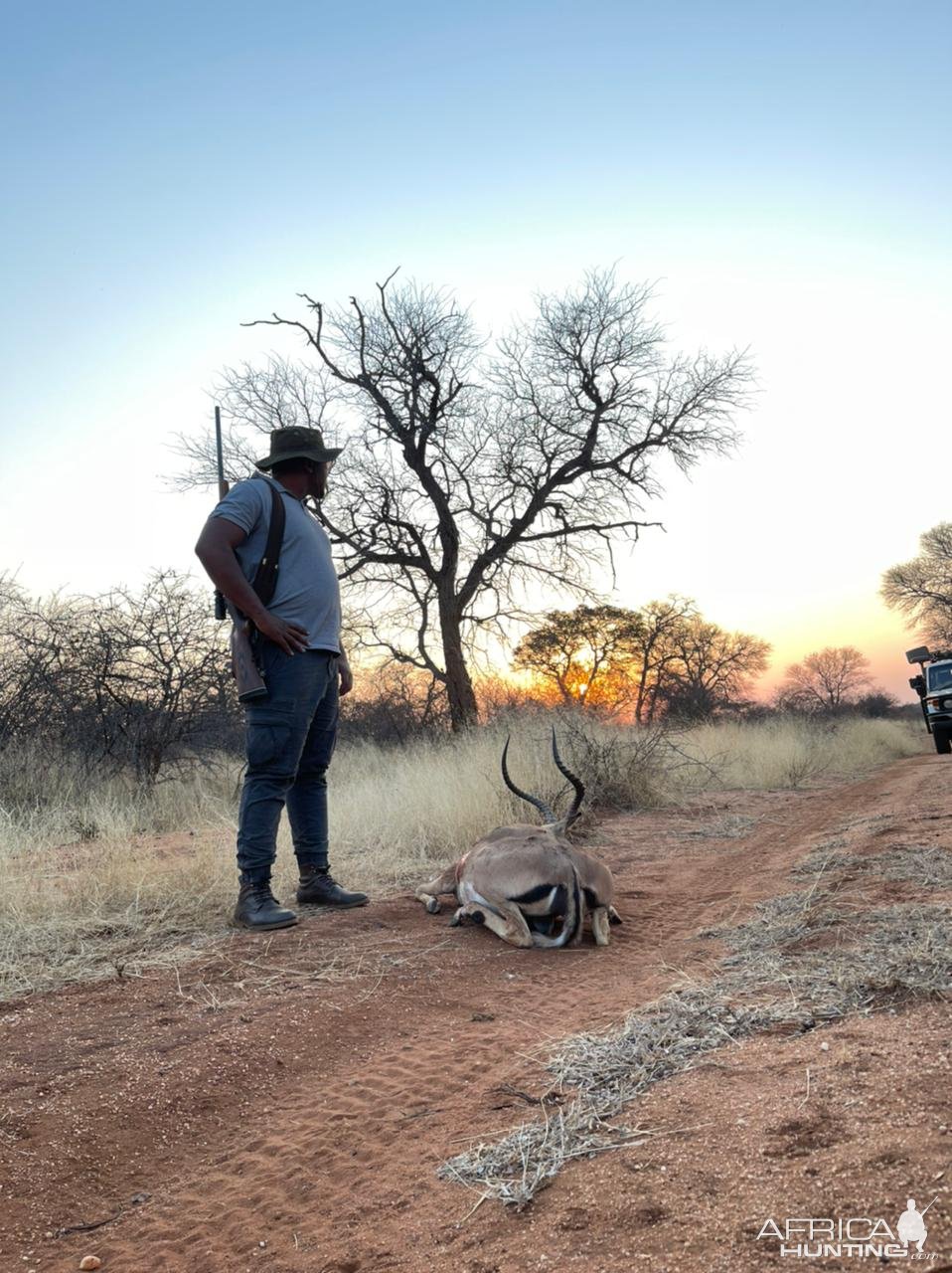 Impala Hunt South Africa