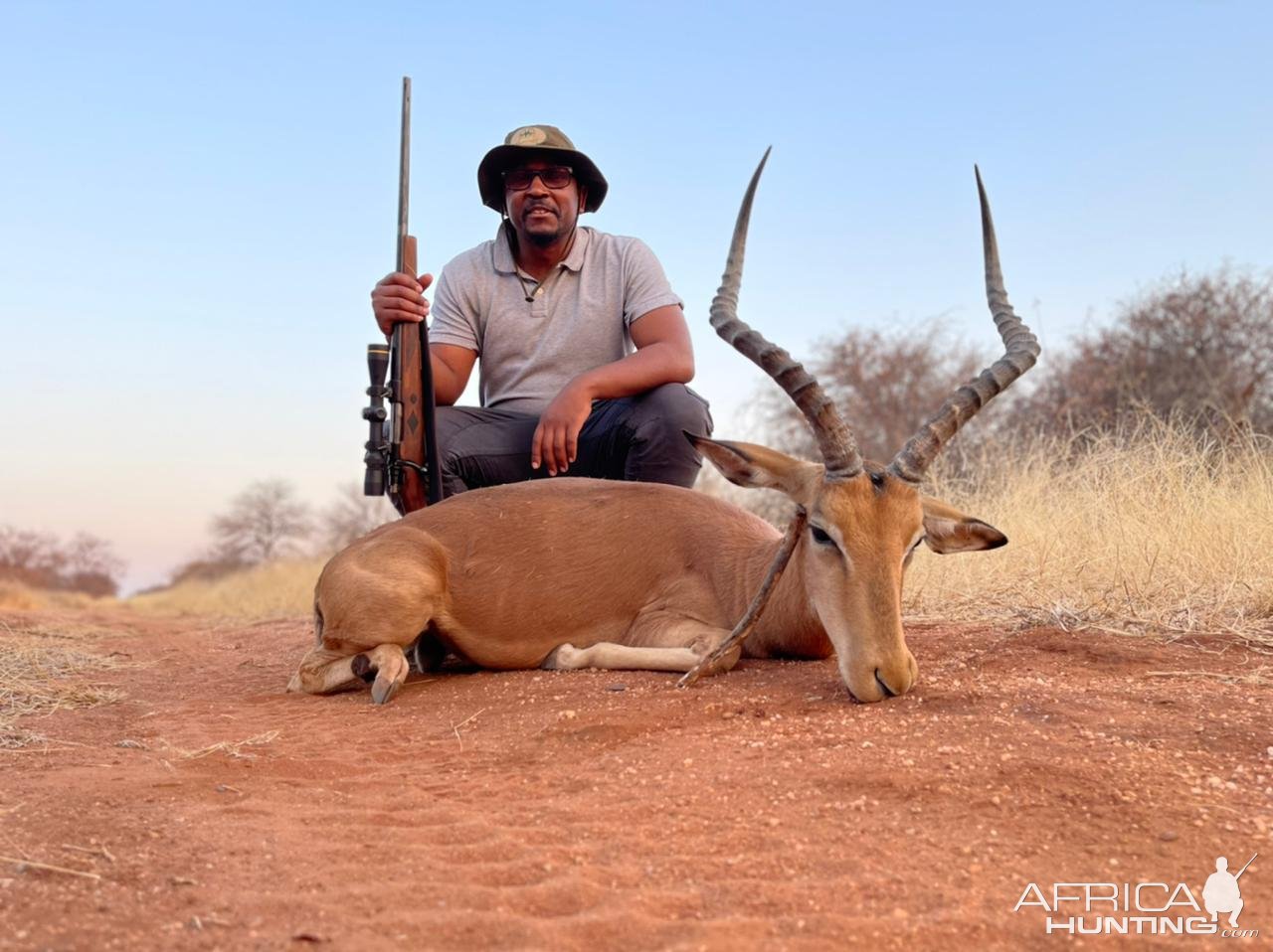 Impala Hunt South Africa