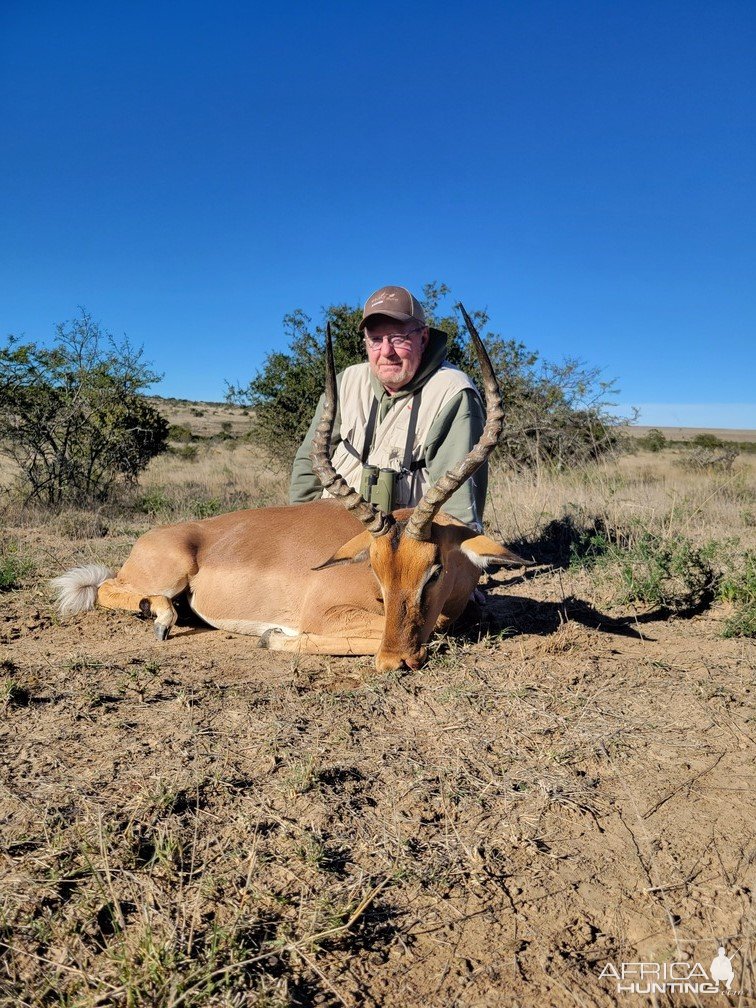 Impala Hunt South Africa