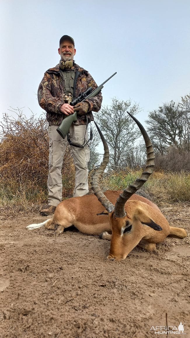 Impala Hunt South Africa