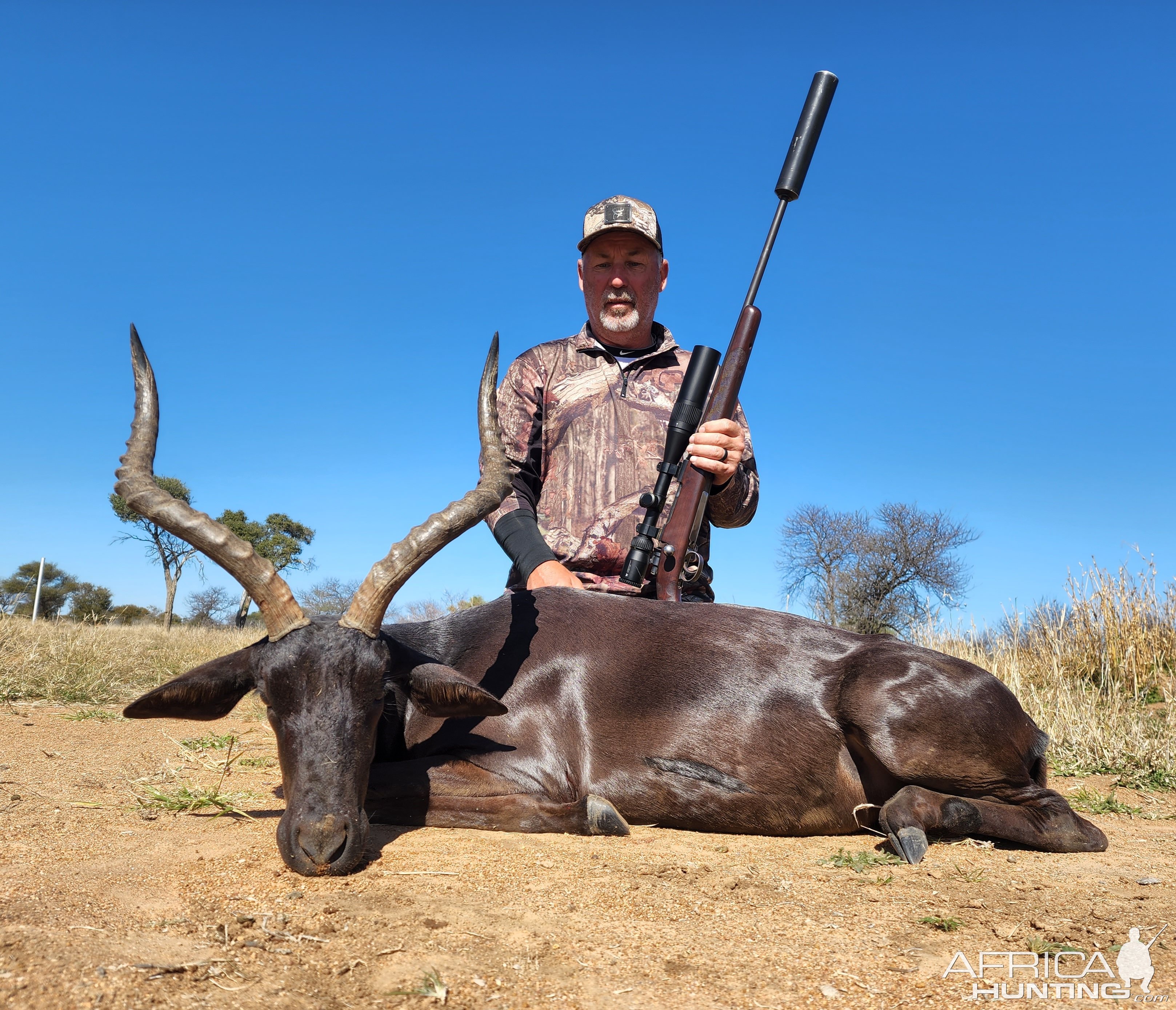 Impala Hunt South Africa