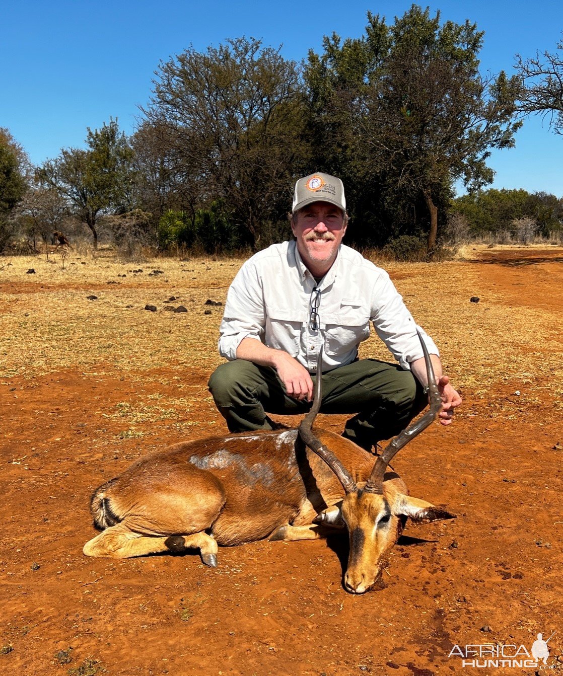 Impala Hunt South Africa