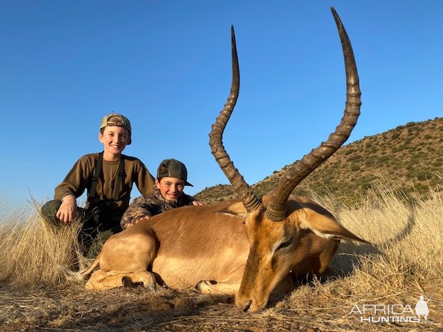 Impala Hunt South Africa