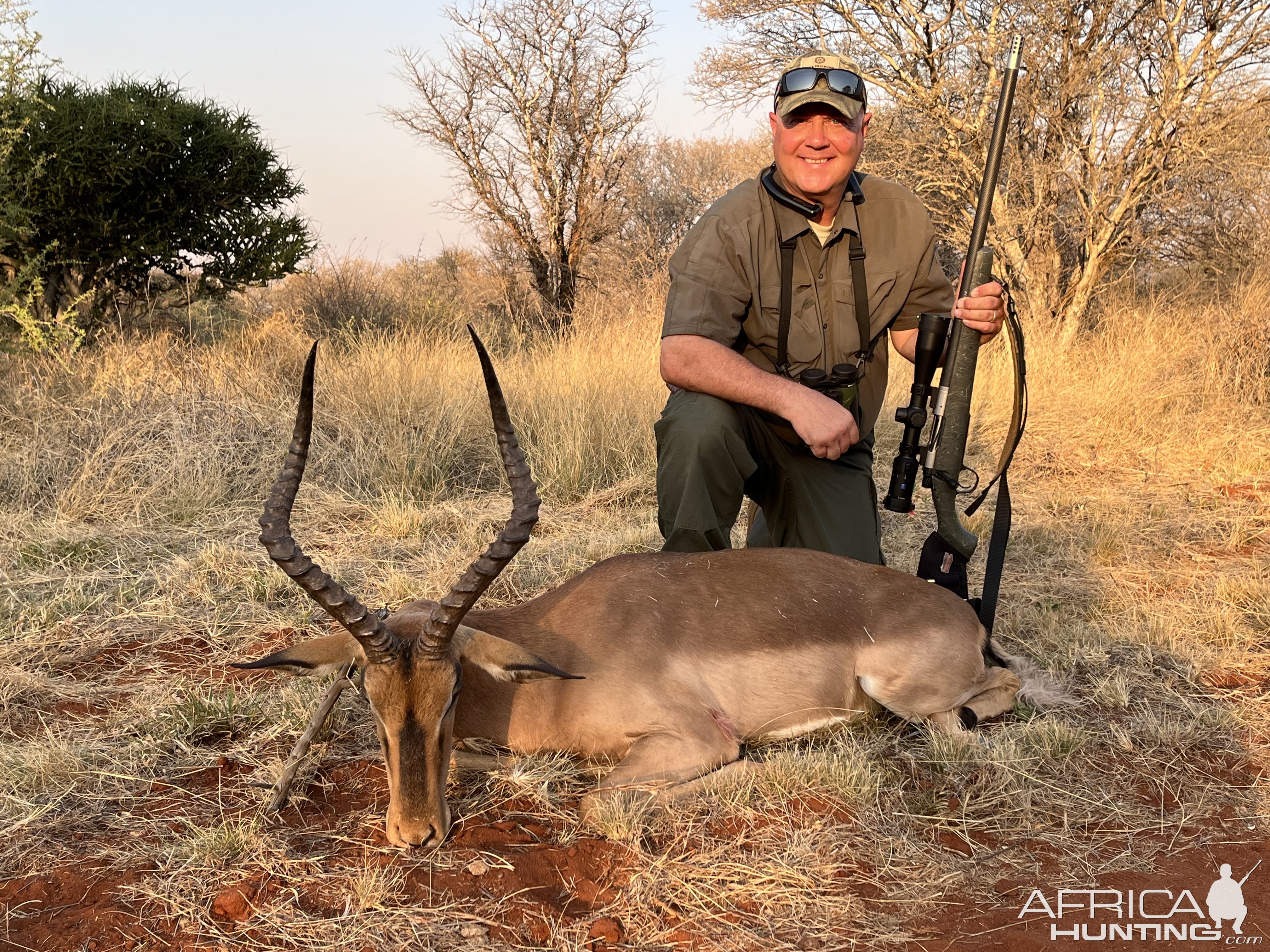 Impala Hunt South Africa