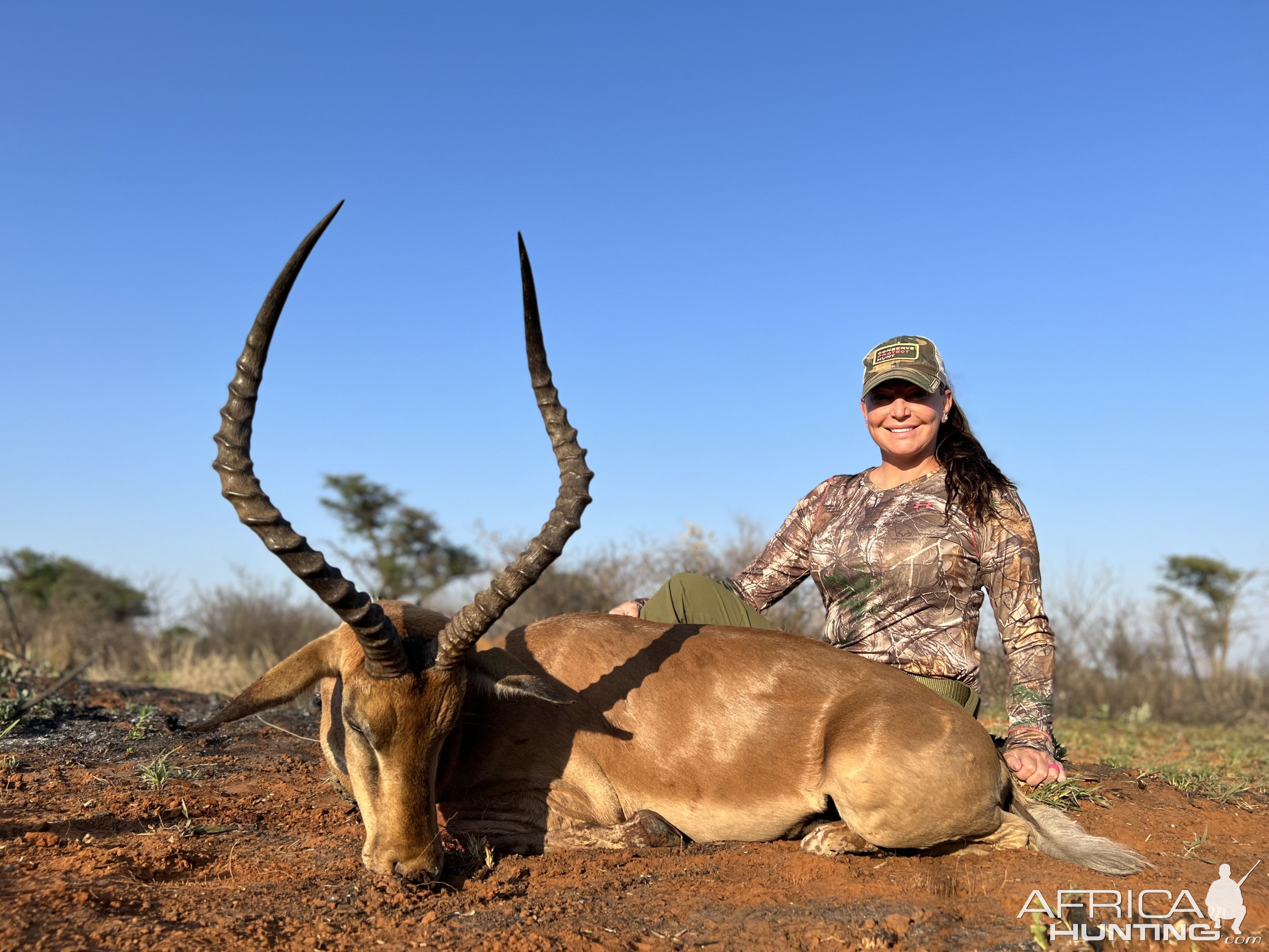 Impala Hunt South Africa