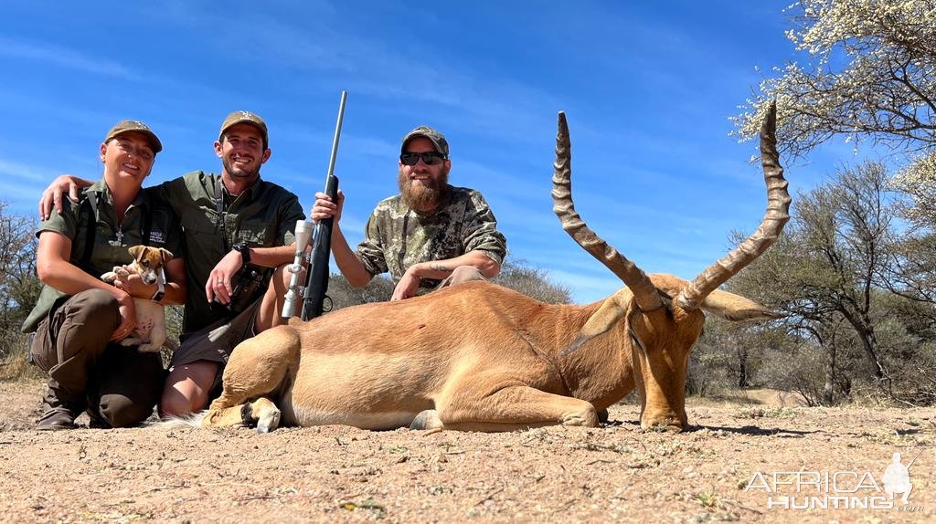 Impala Hunt South Africa