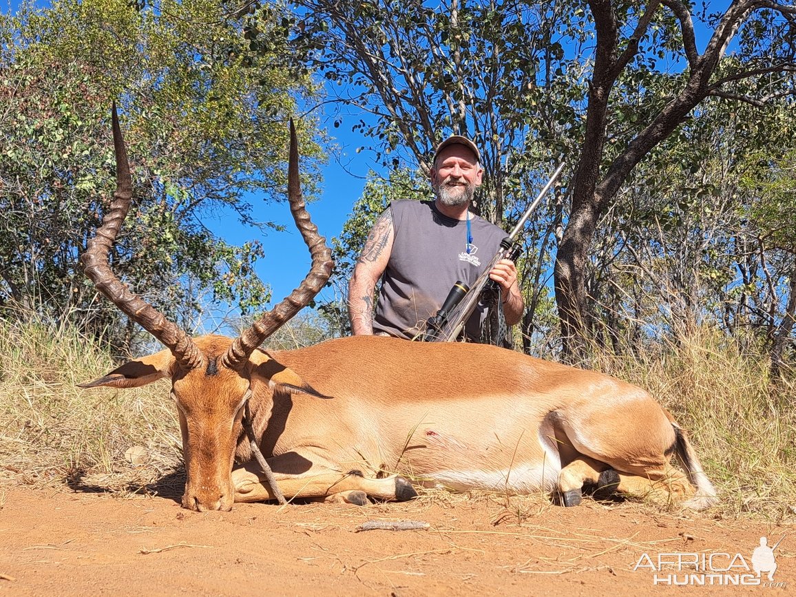 Impala Hunt South Africa