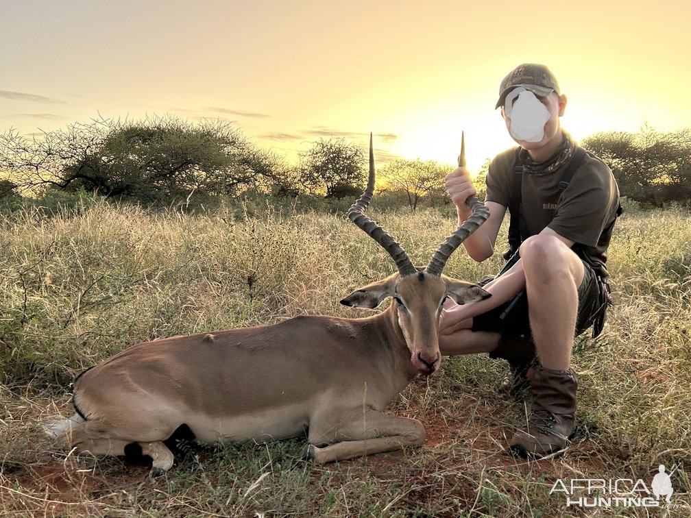 Impala Hunt South Africa